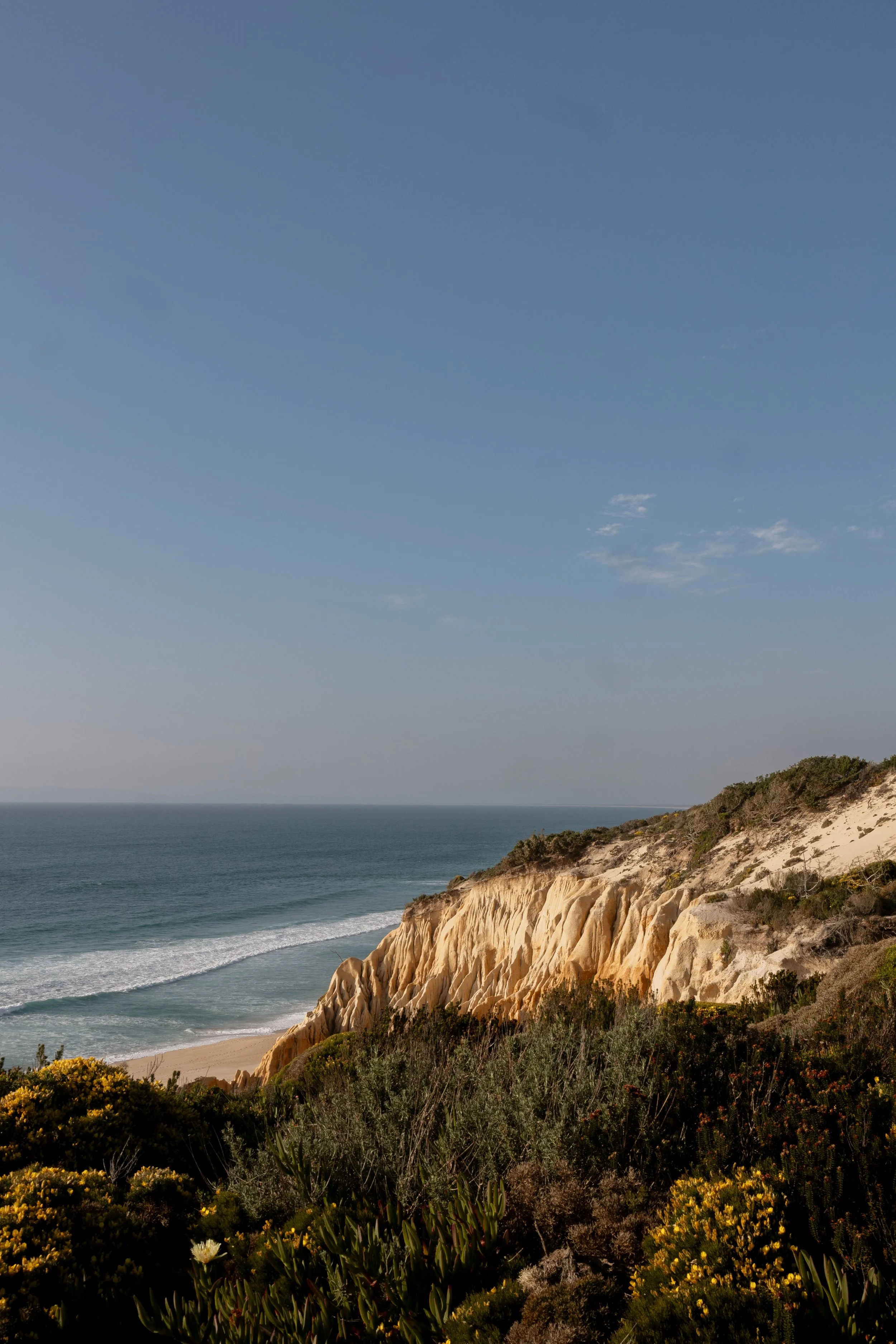 Pinheirinho, Portugal