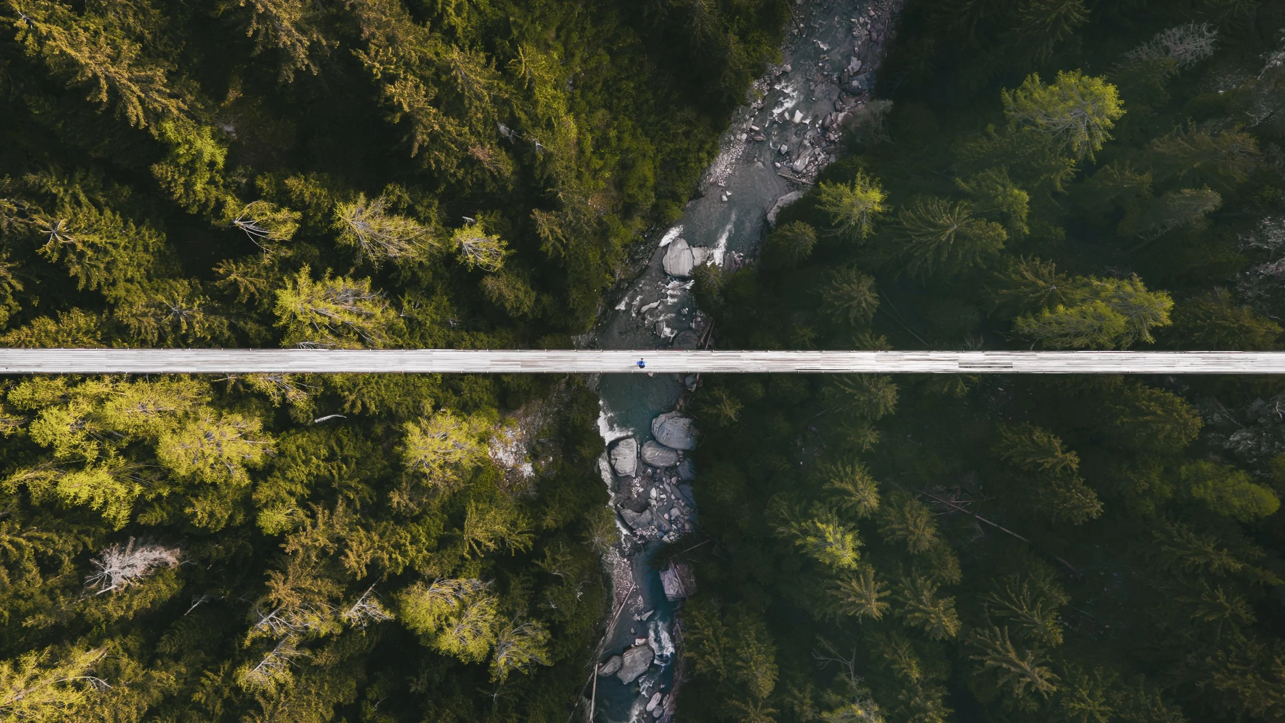 DJI_0852-Avec accentuation-Bruit.jpg