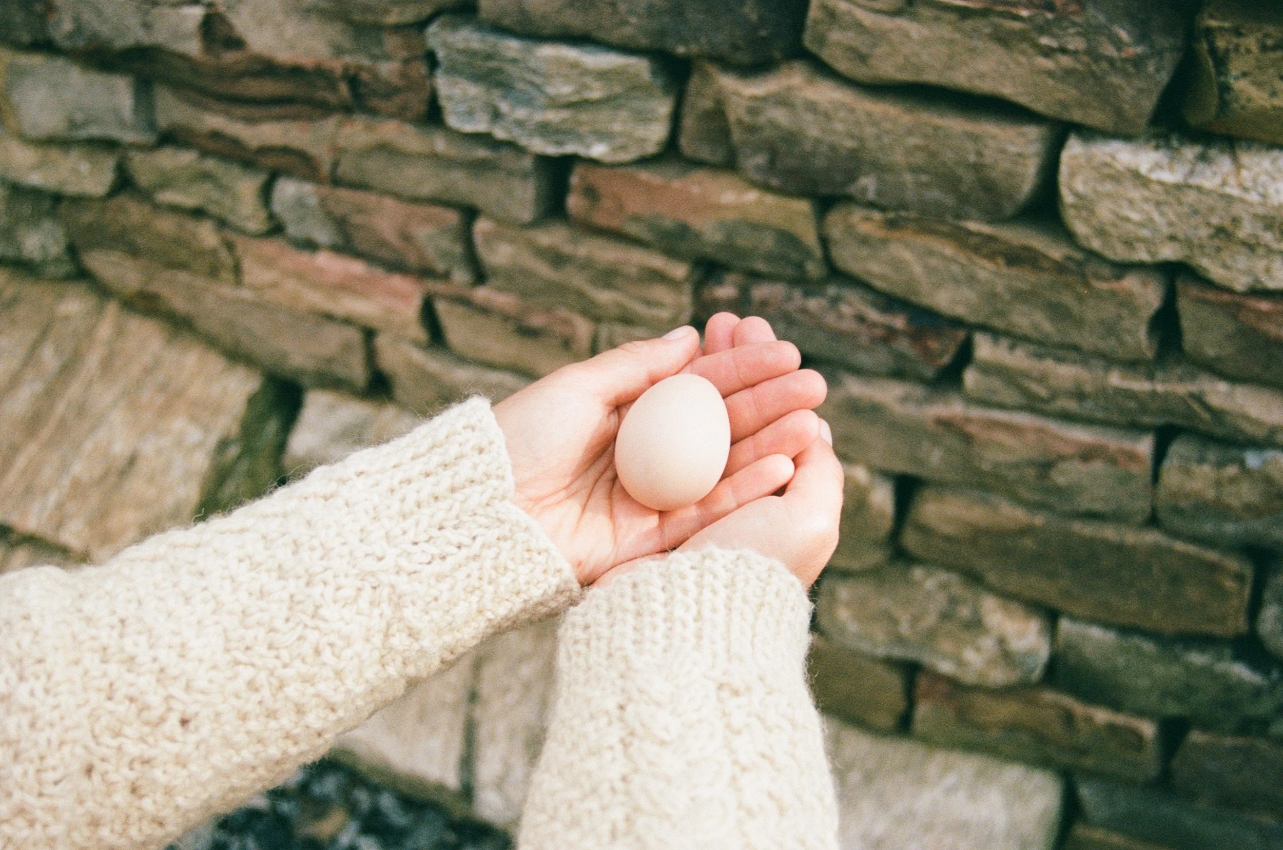 woman holding a chicken egg in front of a dry stone wall