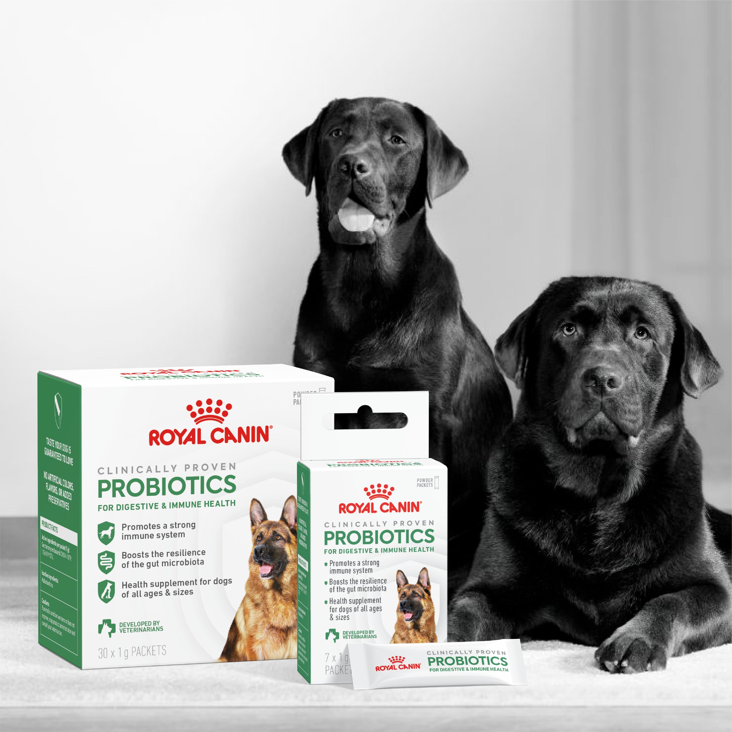 Royal Canin Probiotics Launch Campaign