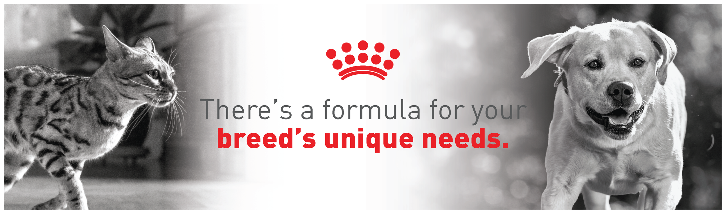 Untitled-3 [Recovered]-08.png