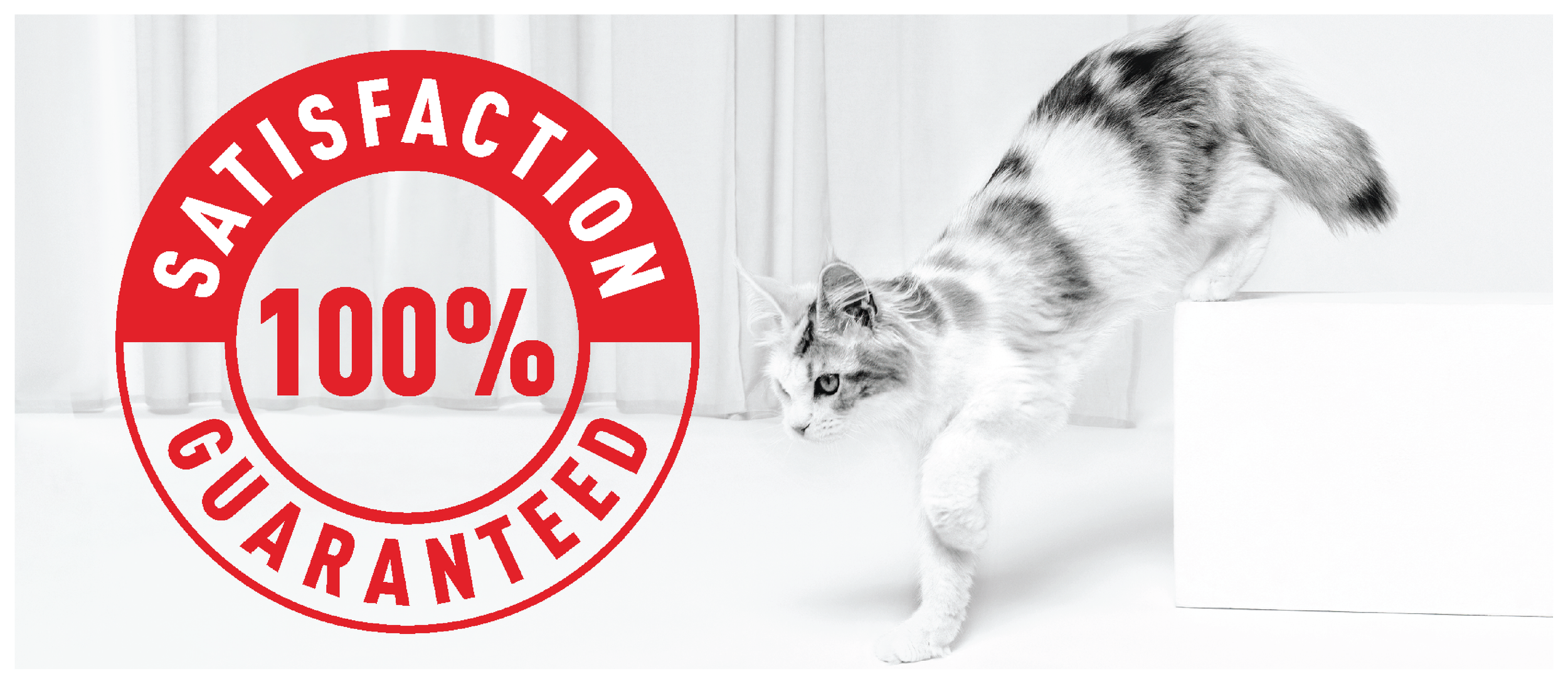 Untitled-3 [Recovered]-11.png