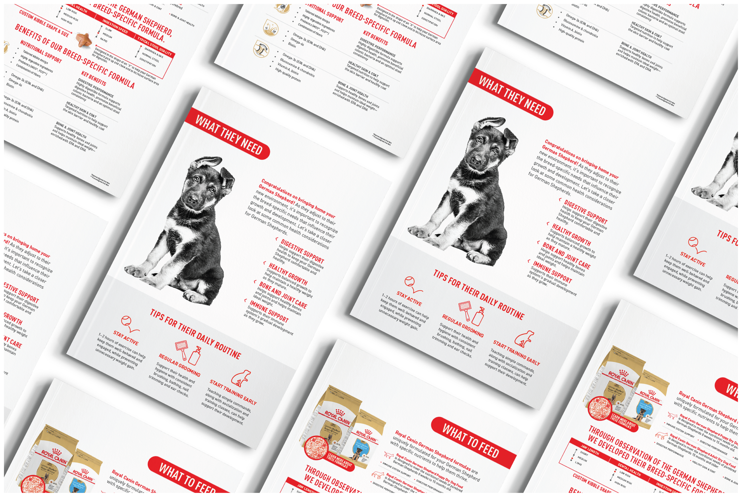 Untitled-3 [Recovered]-07.png