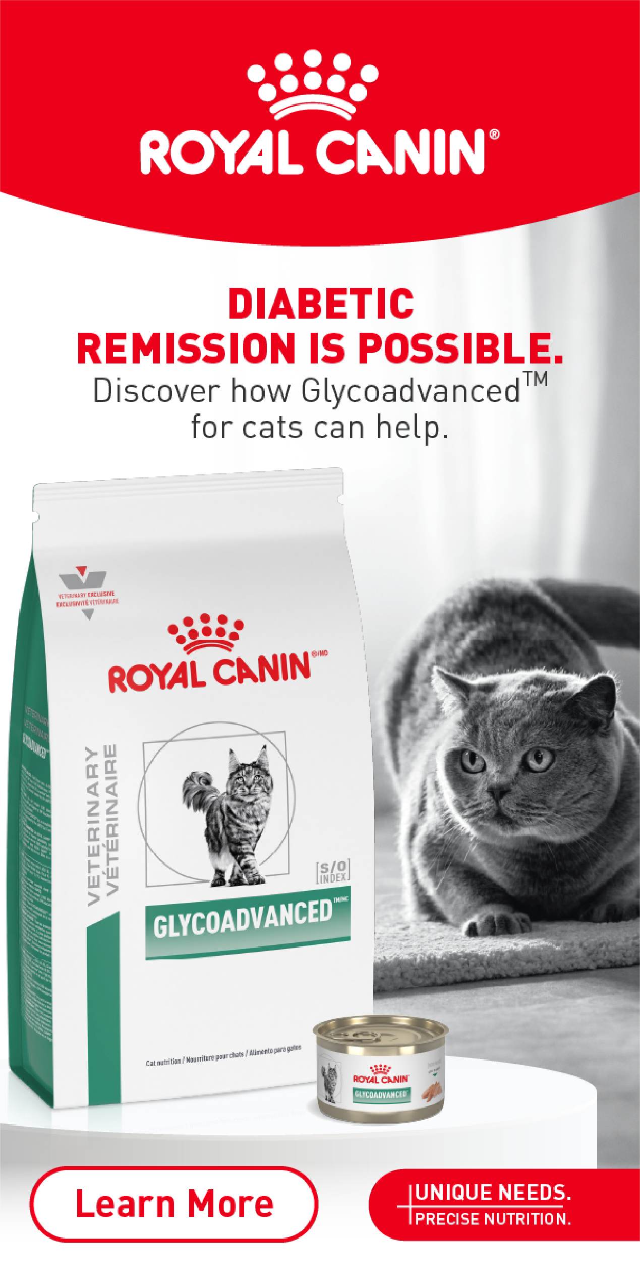 Banner Advertisement