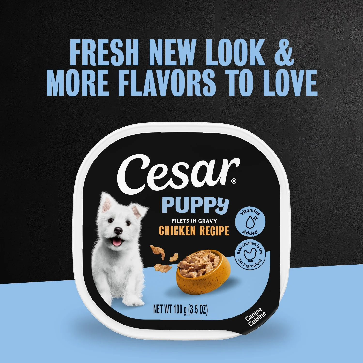 60013765_Cesar_Puppy_FiletInGravy_Chicken_24ct_fromto.jpg