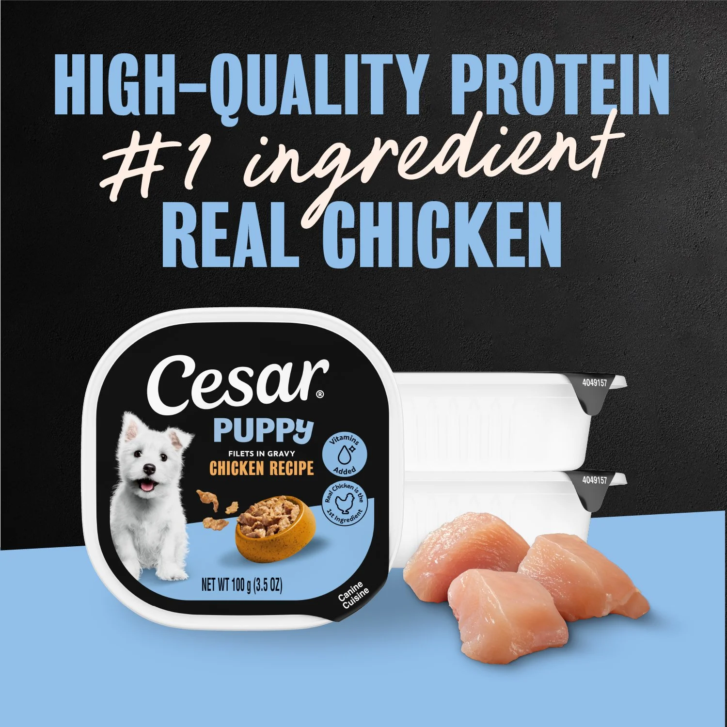 60013765_Cesar_Puppy_FiletInGravy_Chicken_24ct_#1ing.jpg