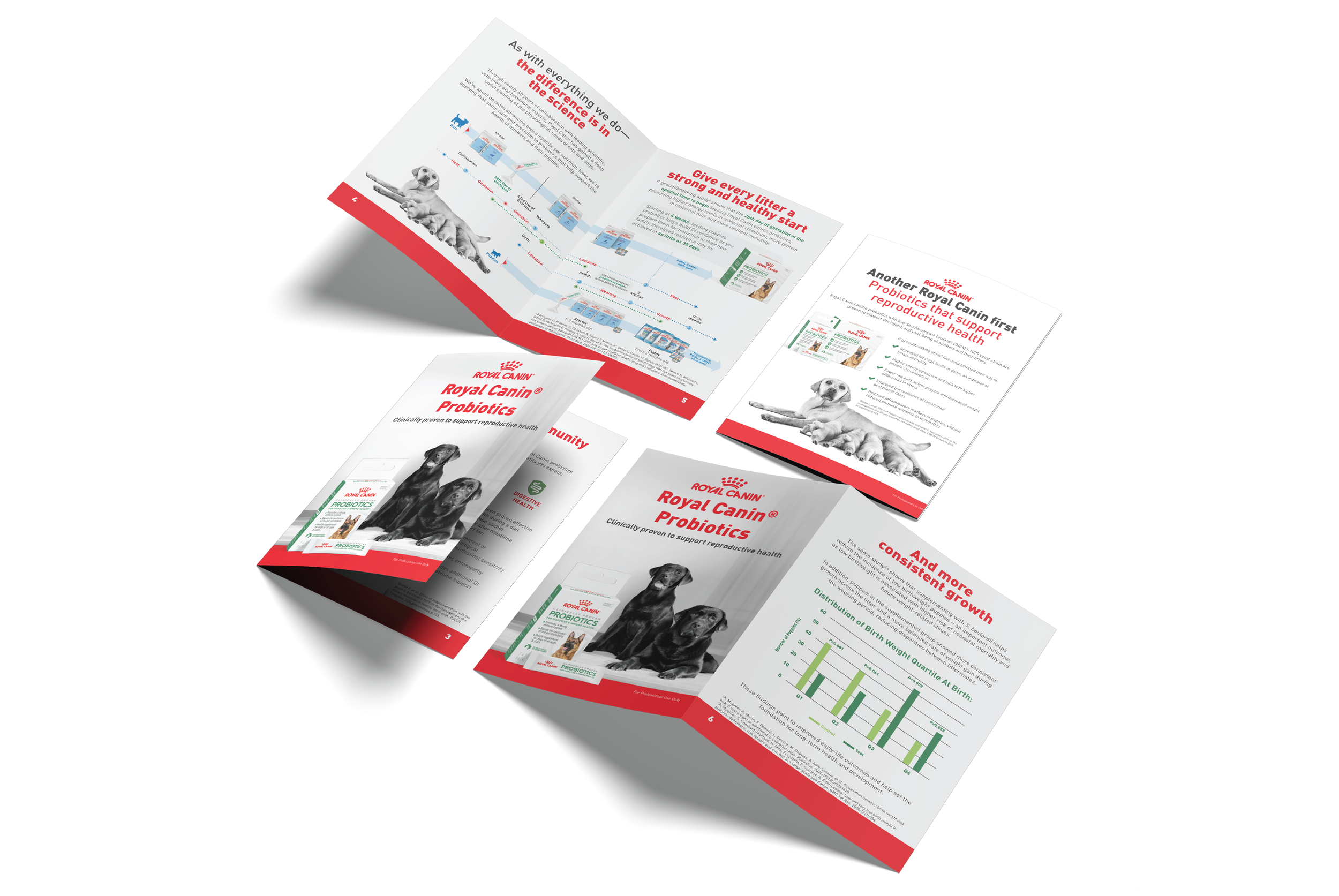 Untitled-3 [Recovered]-15.png