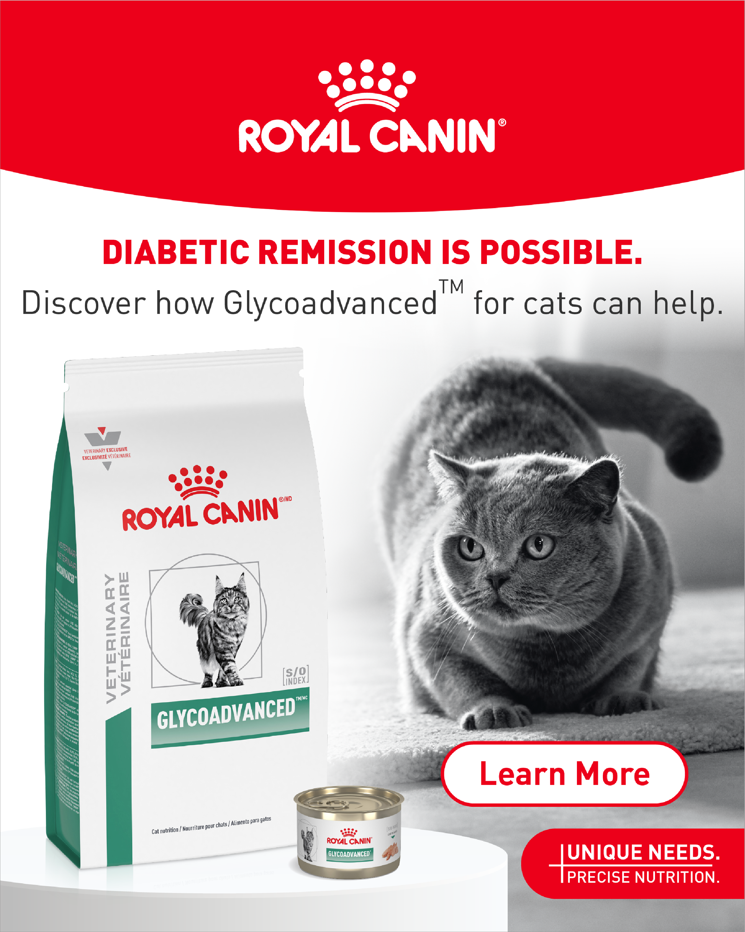 Banner Advertisement