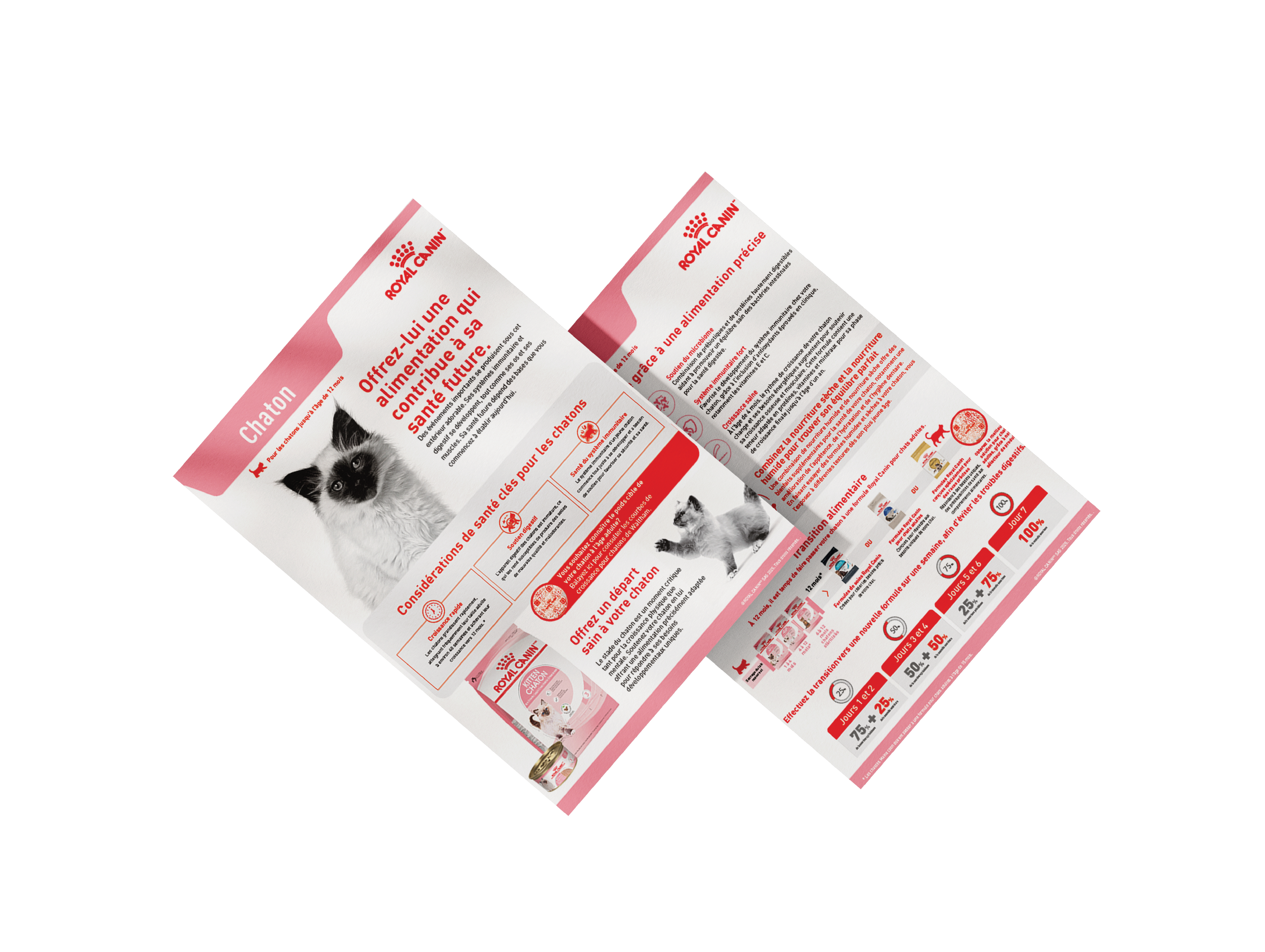 Untitled-3 [Recovered]-05.png