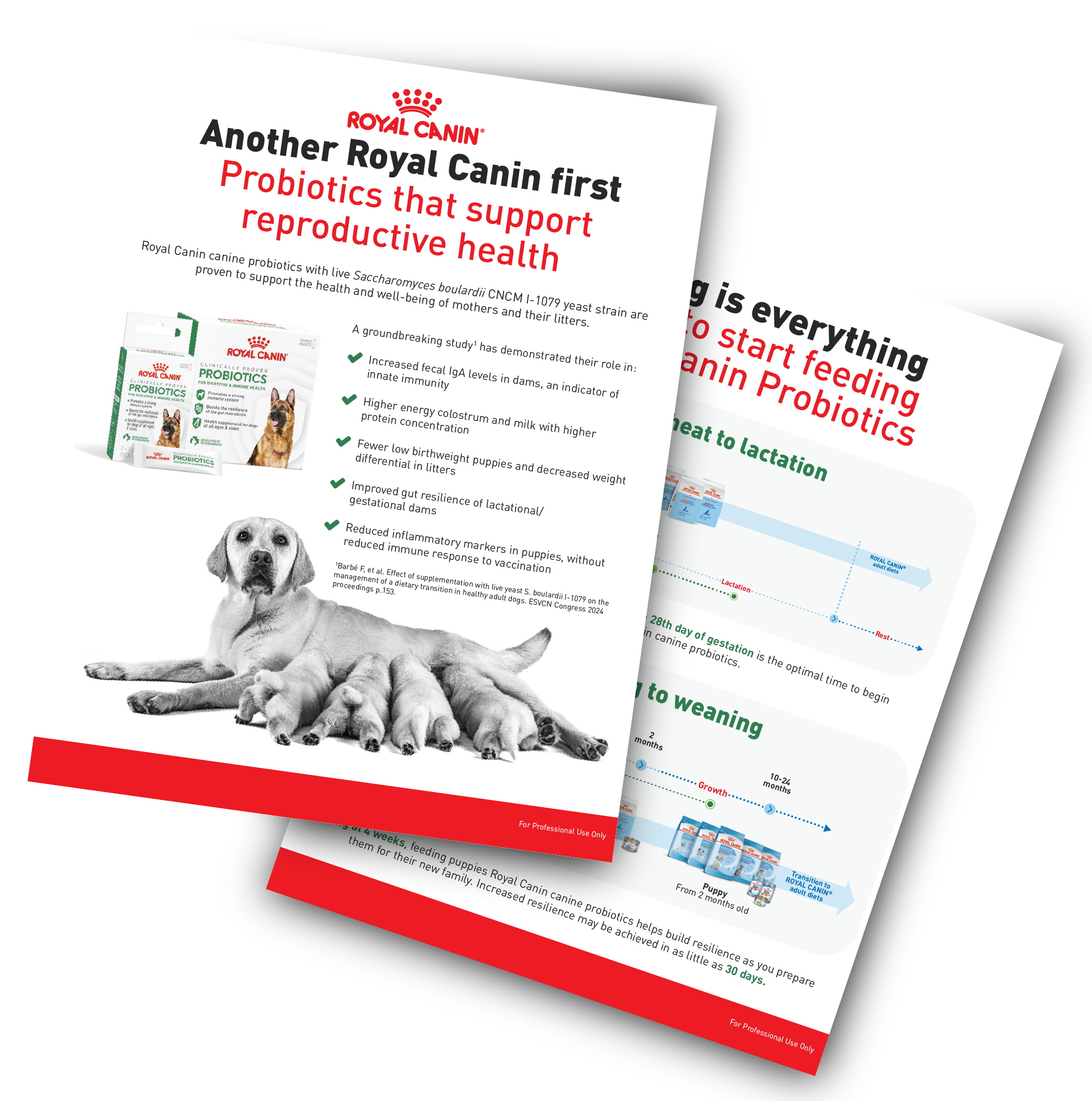 Reproduction One Pager