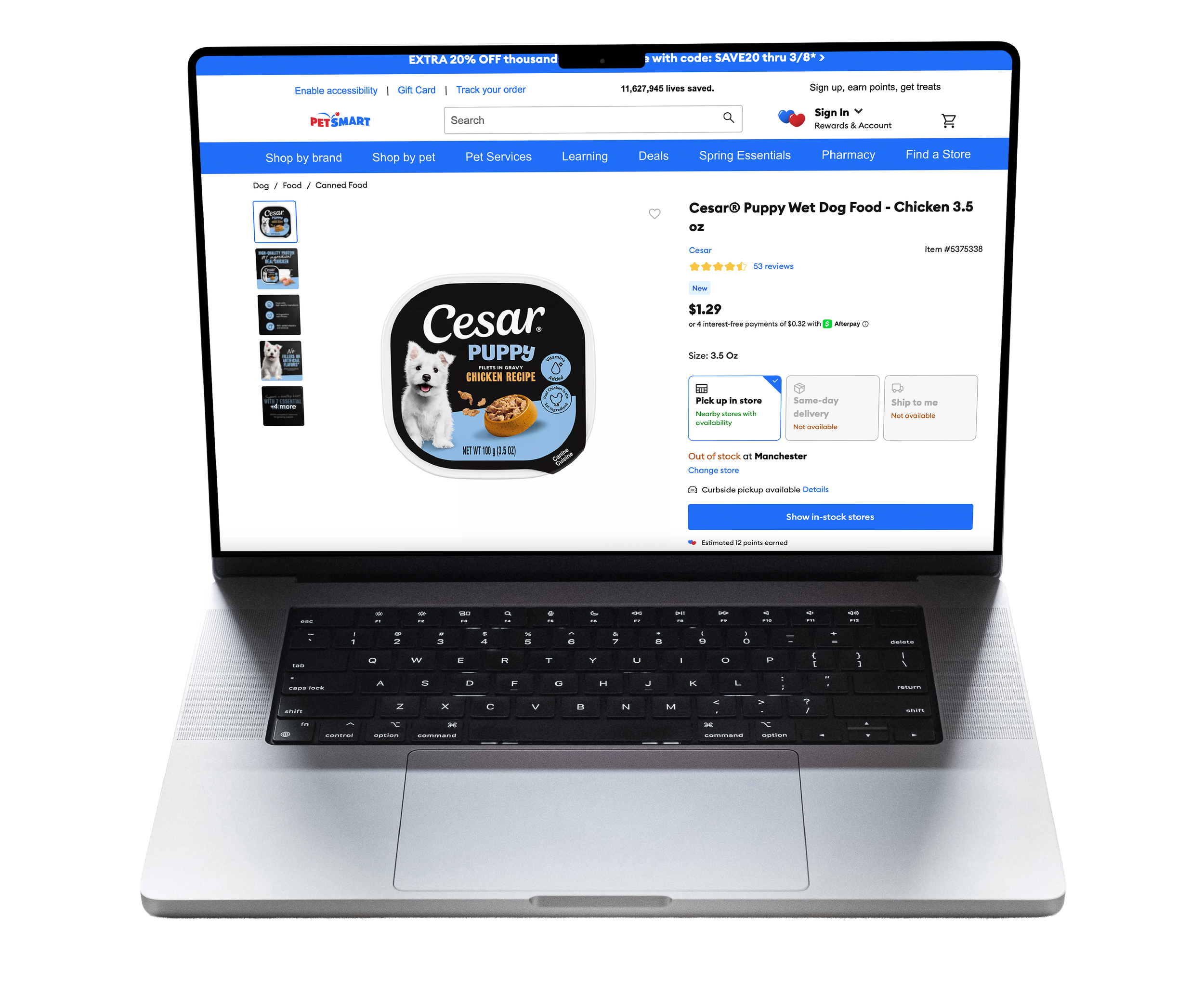 Cesar Ecommerce