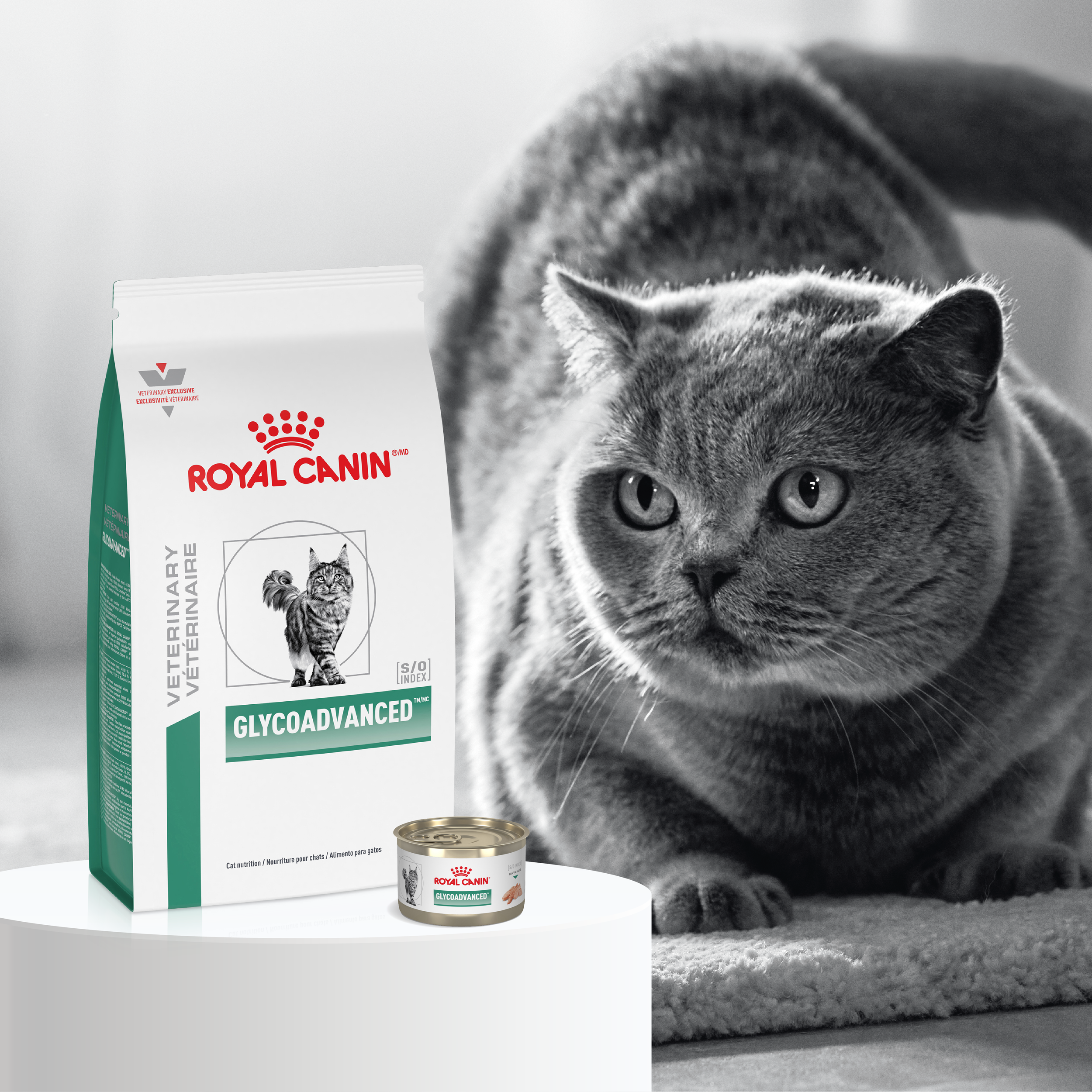 Royal Canin Diabetic Launch