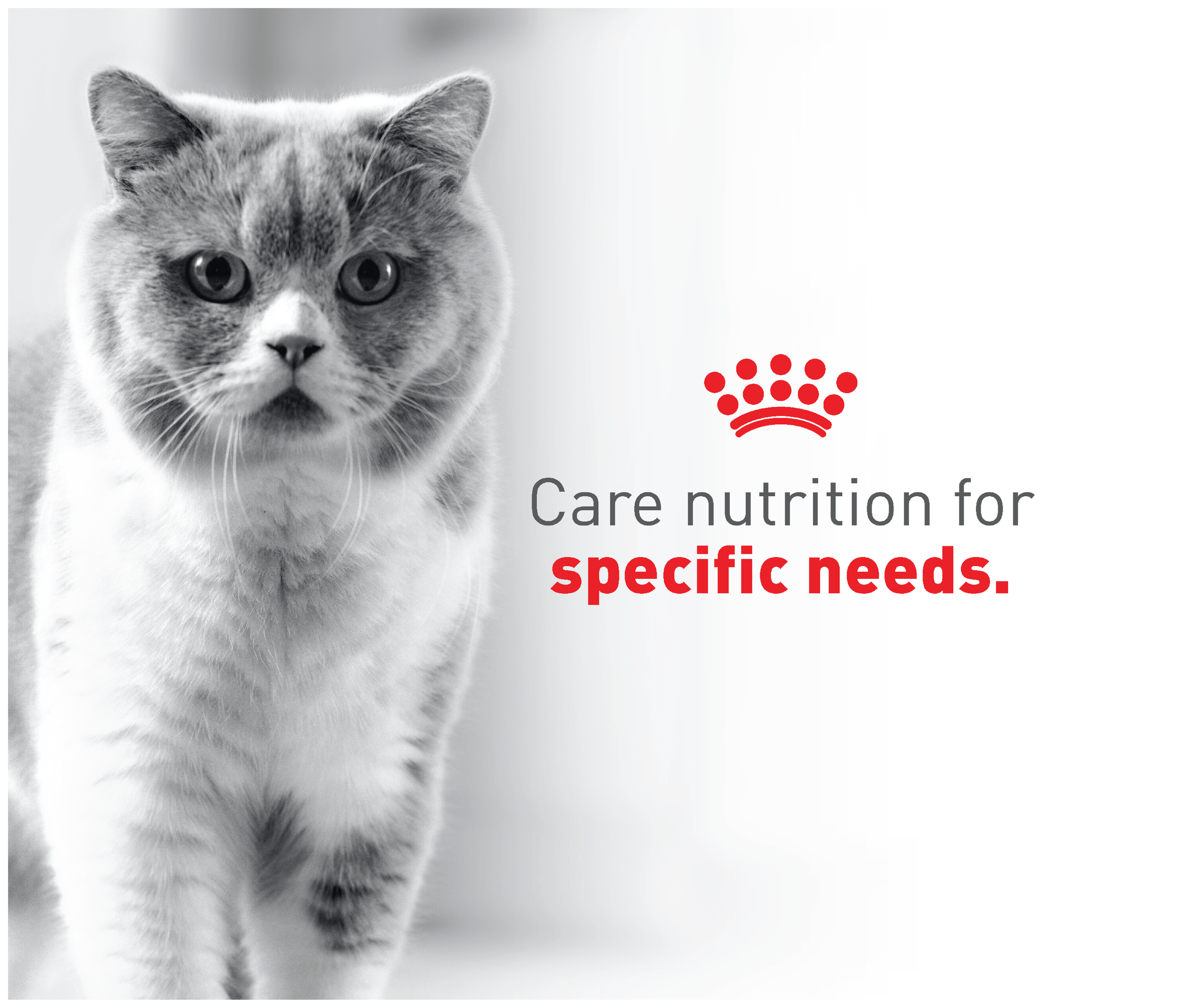 Untitled-3 [Recovered]-12.png