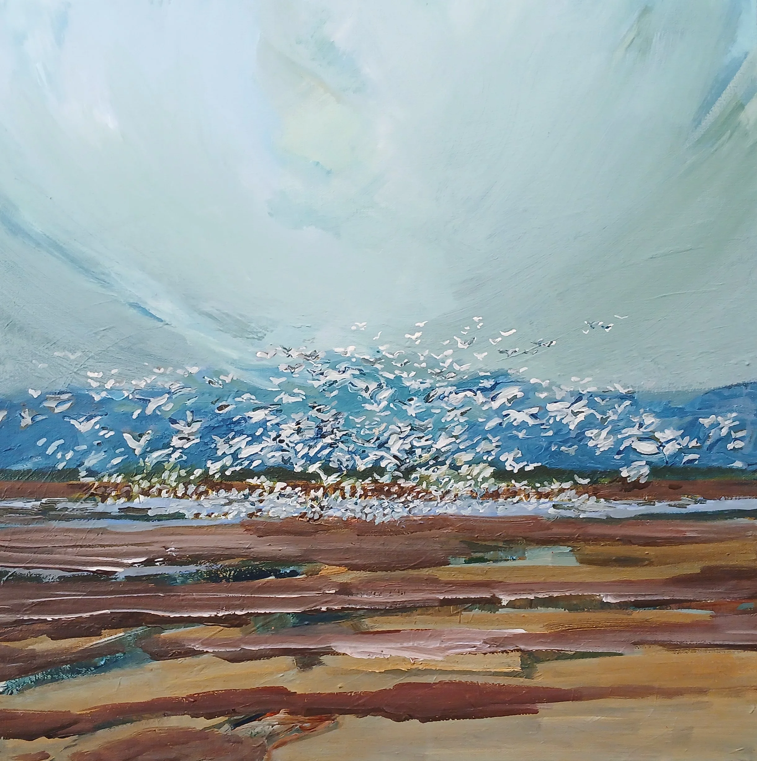Cacophony, (Snow Geese on the Move) 24"x24"