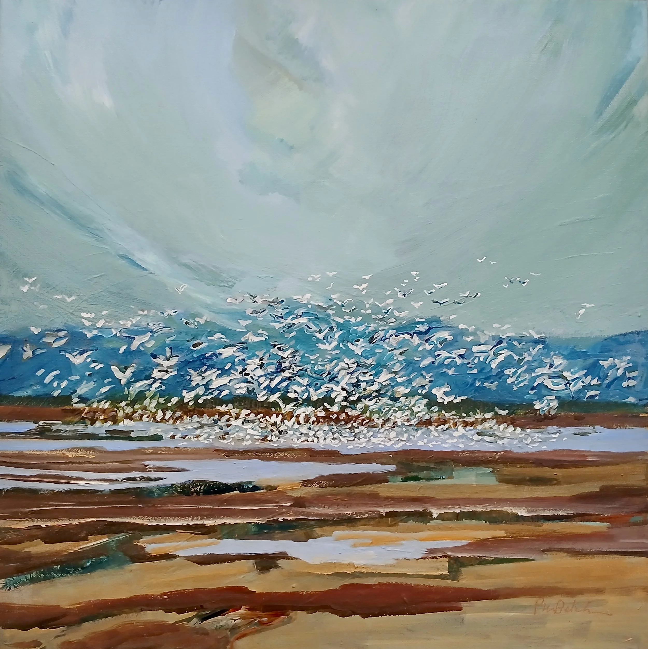 Cacophony, Snow Geese on the Move, 24"x24"/SOLD