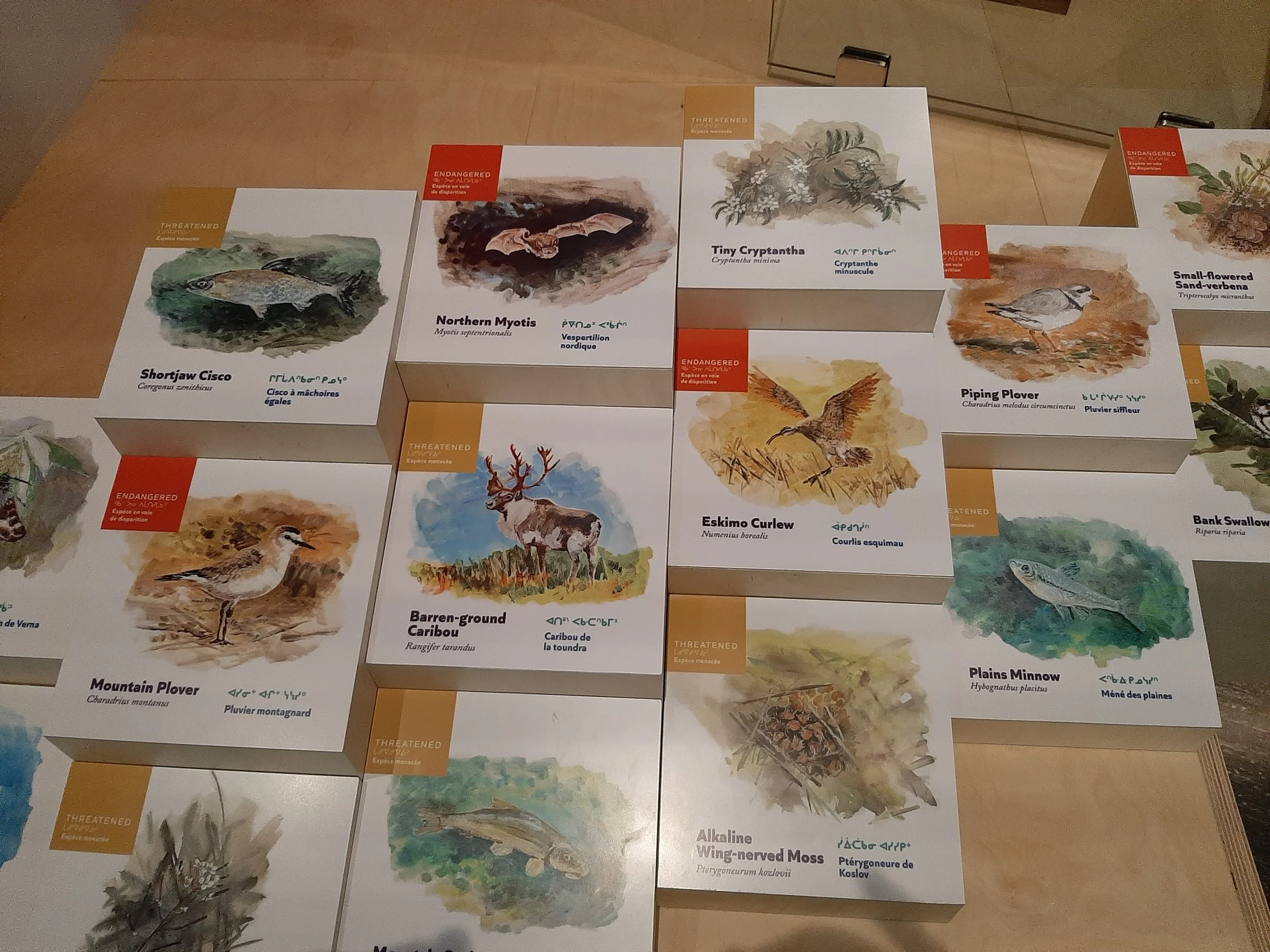 Paintings on site at RSM