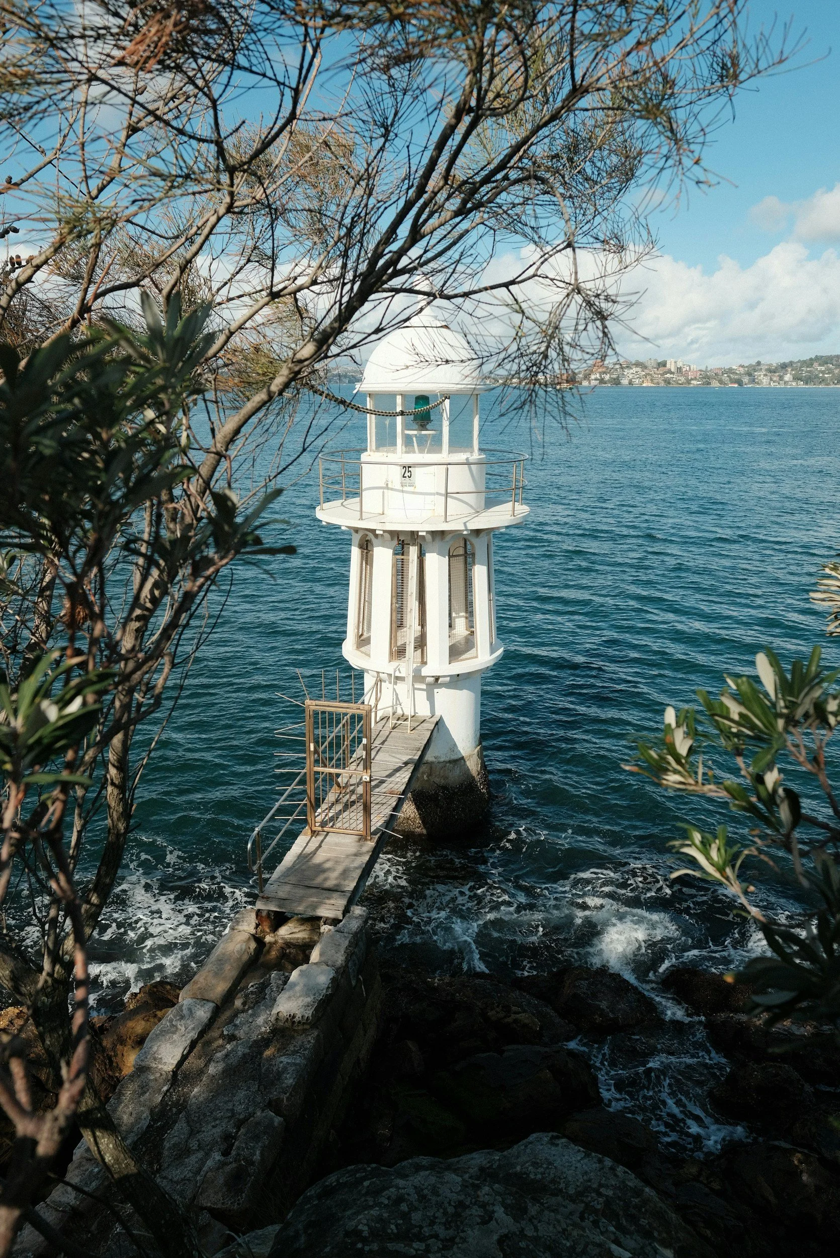 unsplash-image-lgh98gmw5vk.jpg