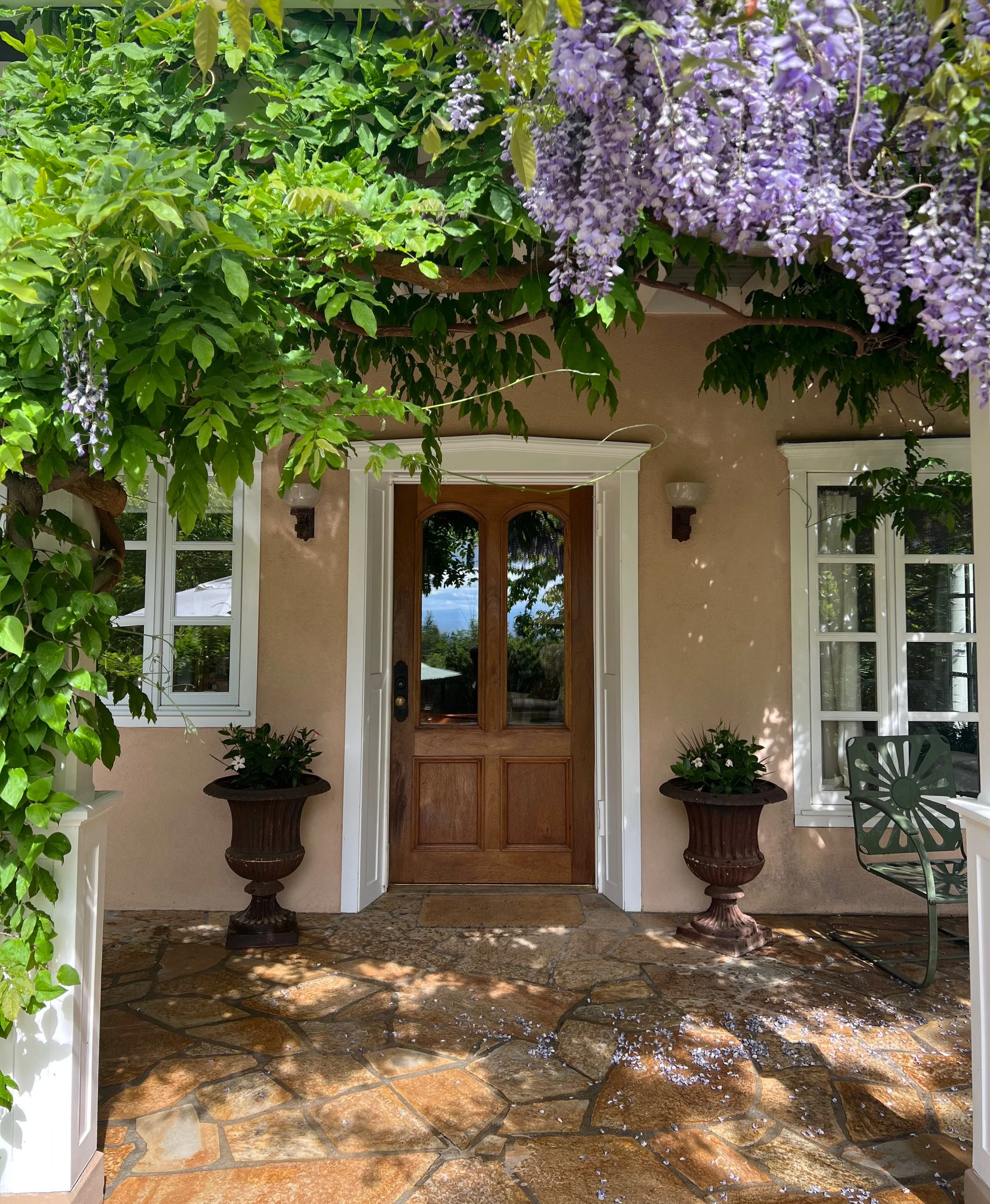 Front porch with a wooden door, two potted plants, and flowering wisteria overhead.