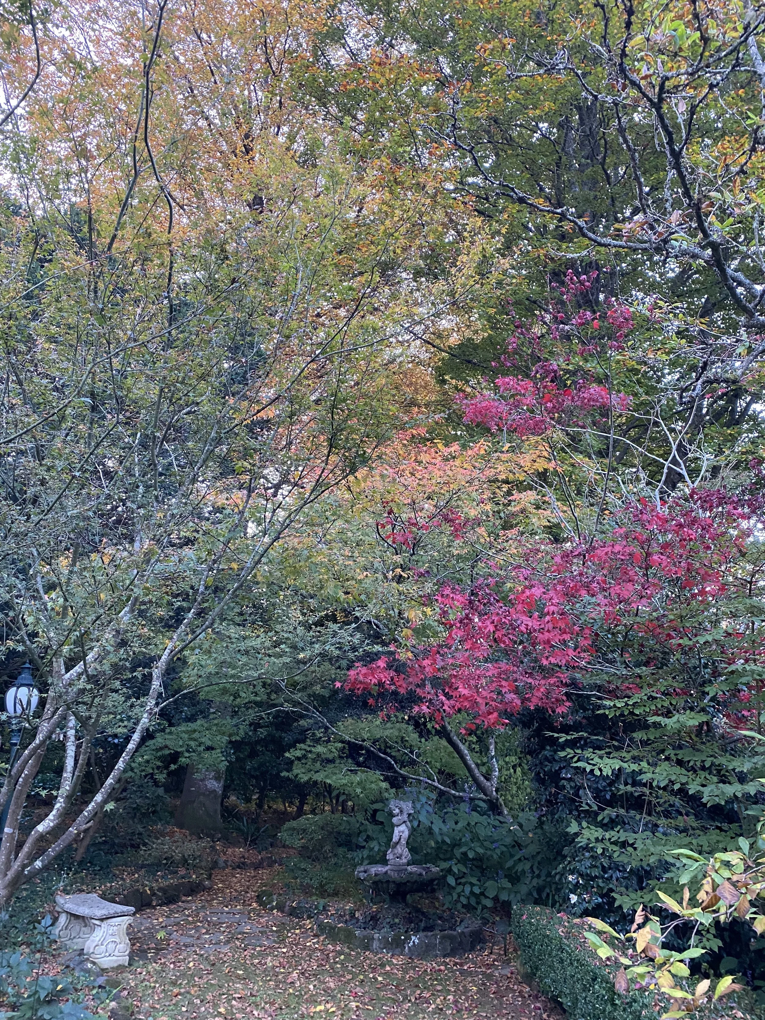 IMG_0119.jpeg