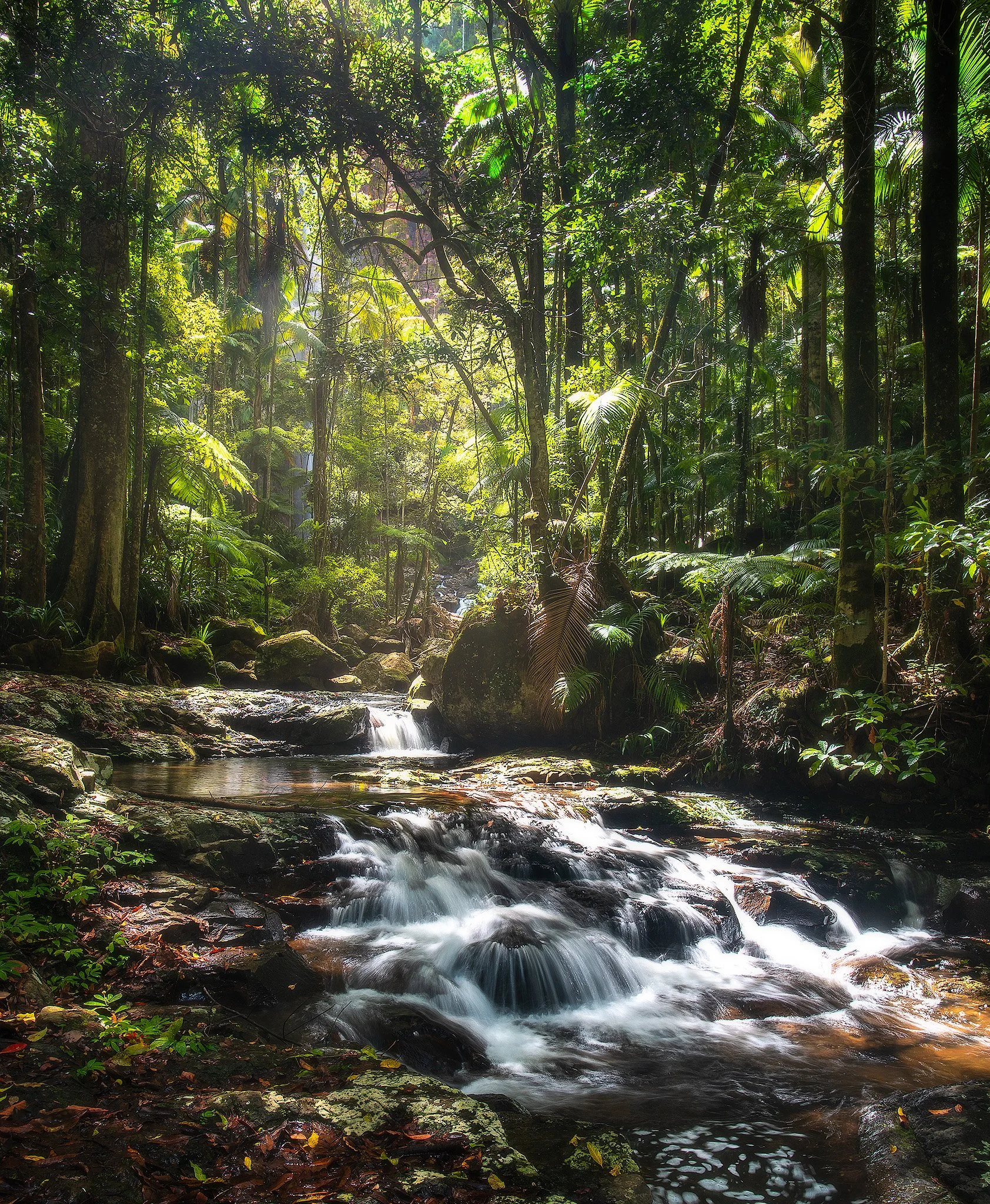 Protester Falls, NSW