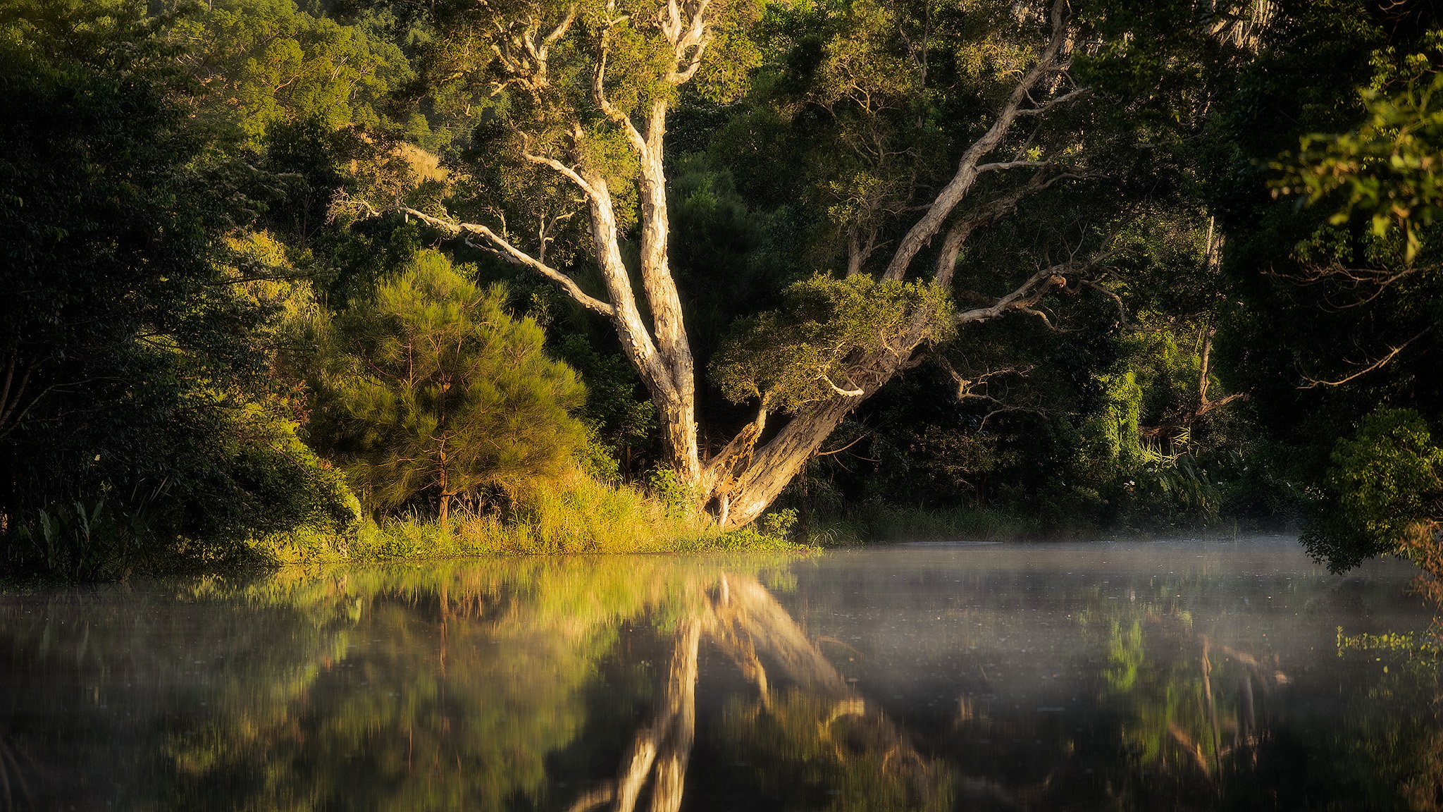 EmigrantCk - 2048px.jpg