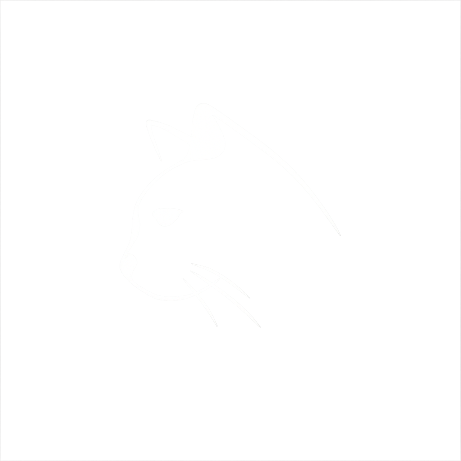 A black and white line drawing of a cat's face in profile, with a white outline on a black background.
