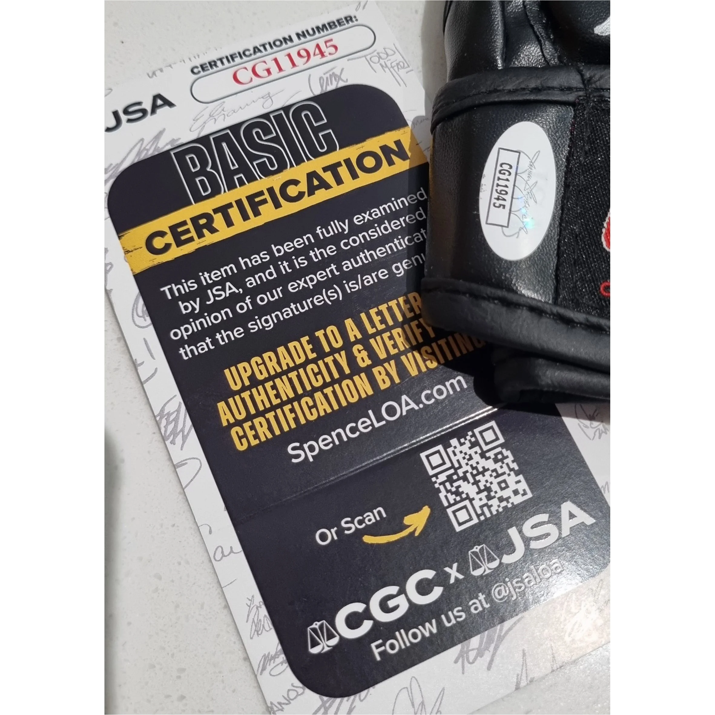 Vollanovski Glove James Spence 05122025 Squarespace B.jpg