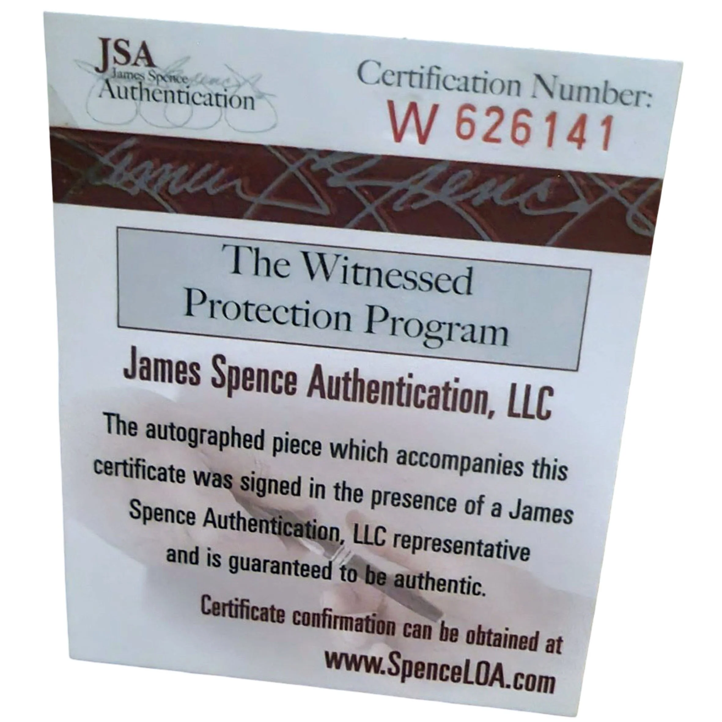 Anderson Silva Glove Framed Squarespace C.jpg