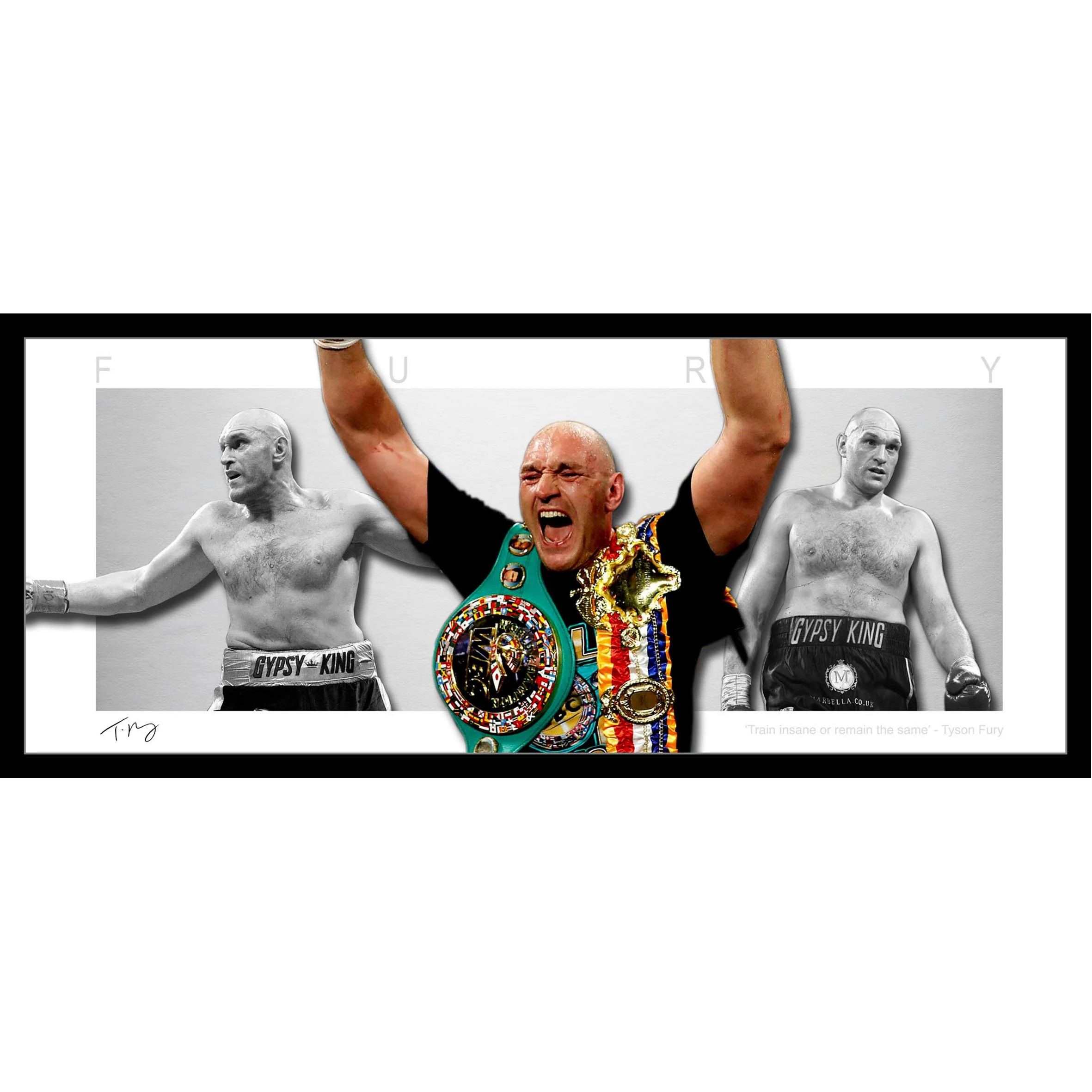 Tyson Fury Wings Framed Squarespace.jpg