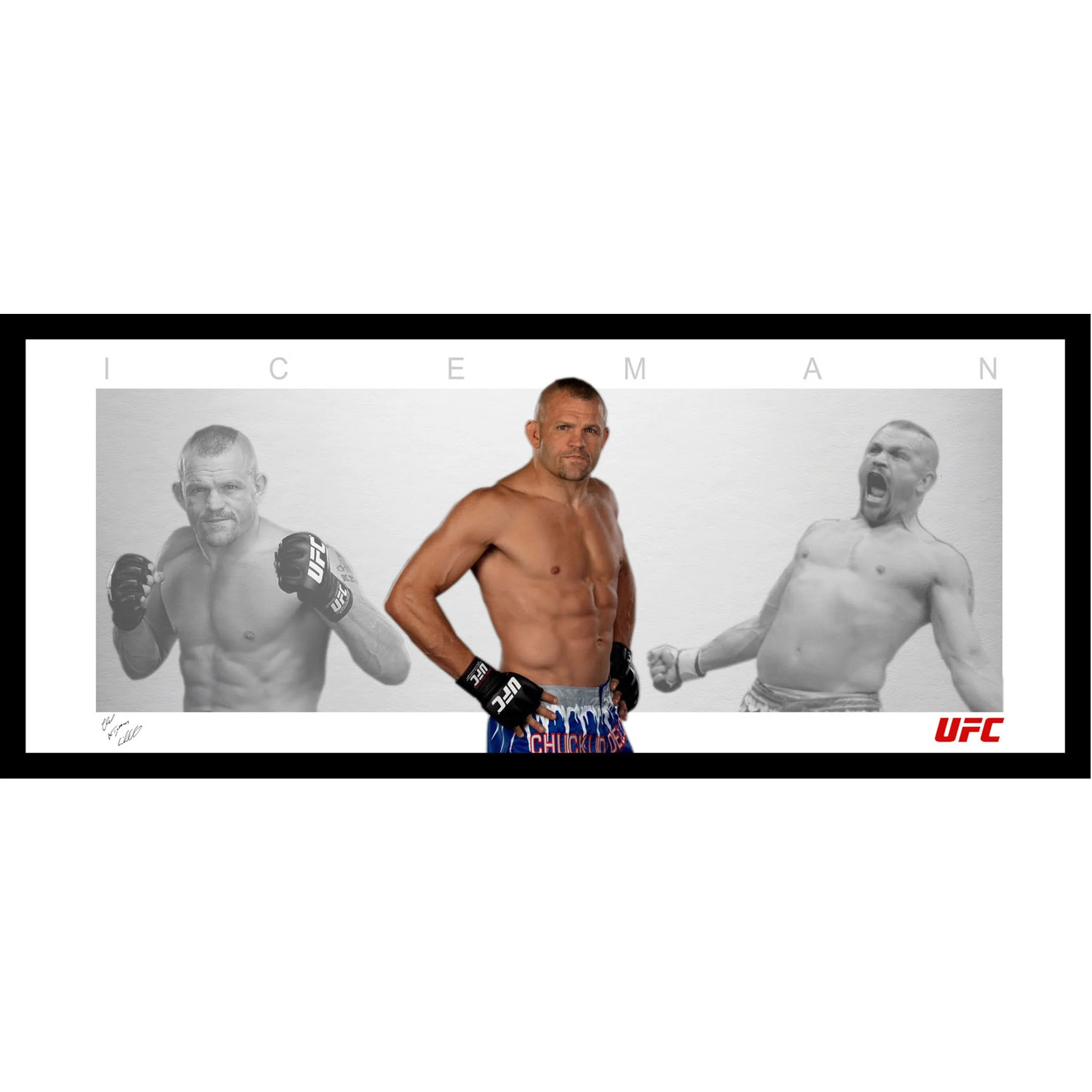 Chuck 'Iceman' Liddell Framed Wings Memorabilia