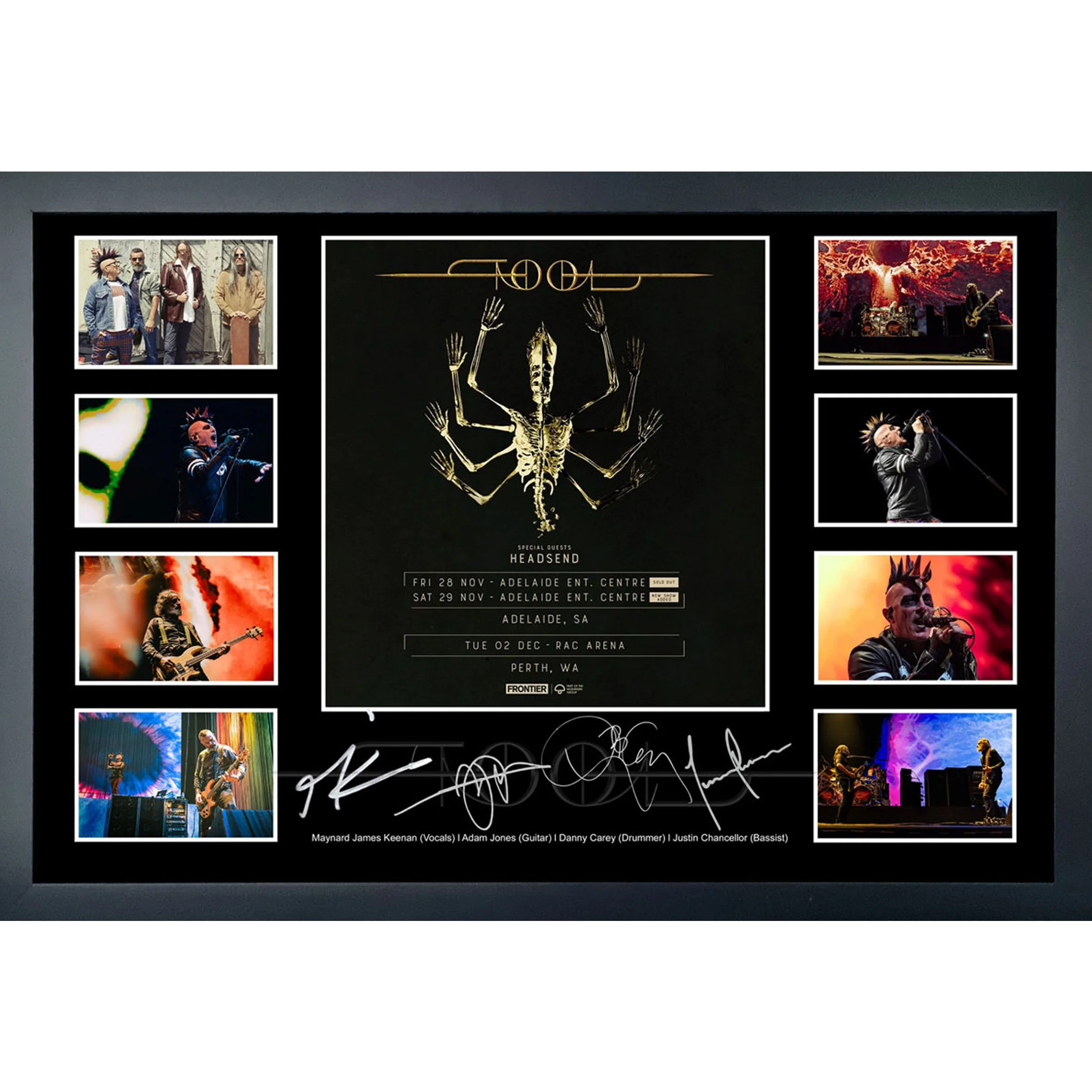 Tool 2025 Lithograph Squarespace.jpg