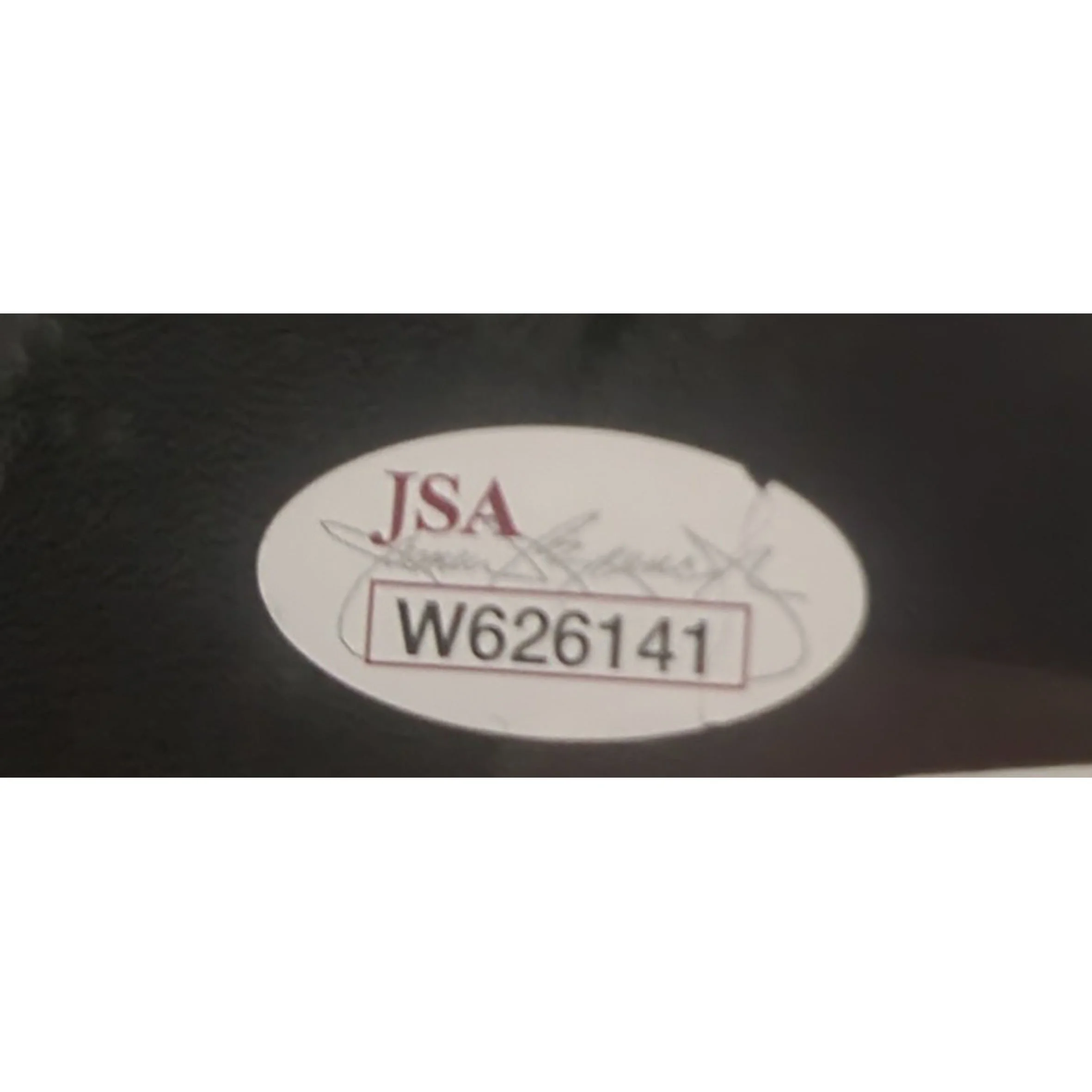 Anderson Silva Glove Framed Squarespace B.jpg