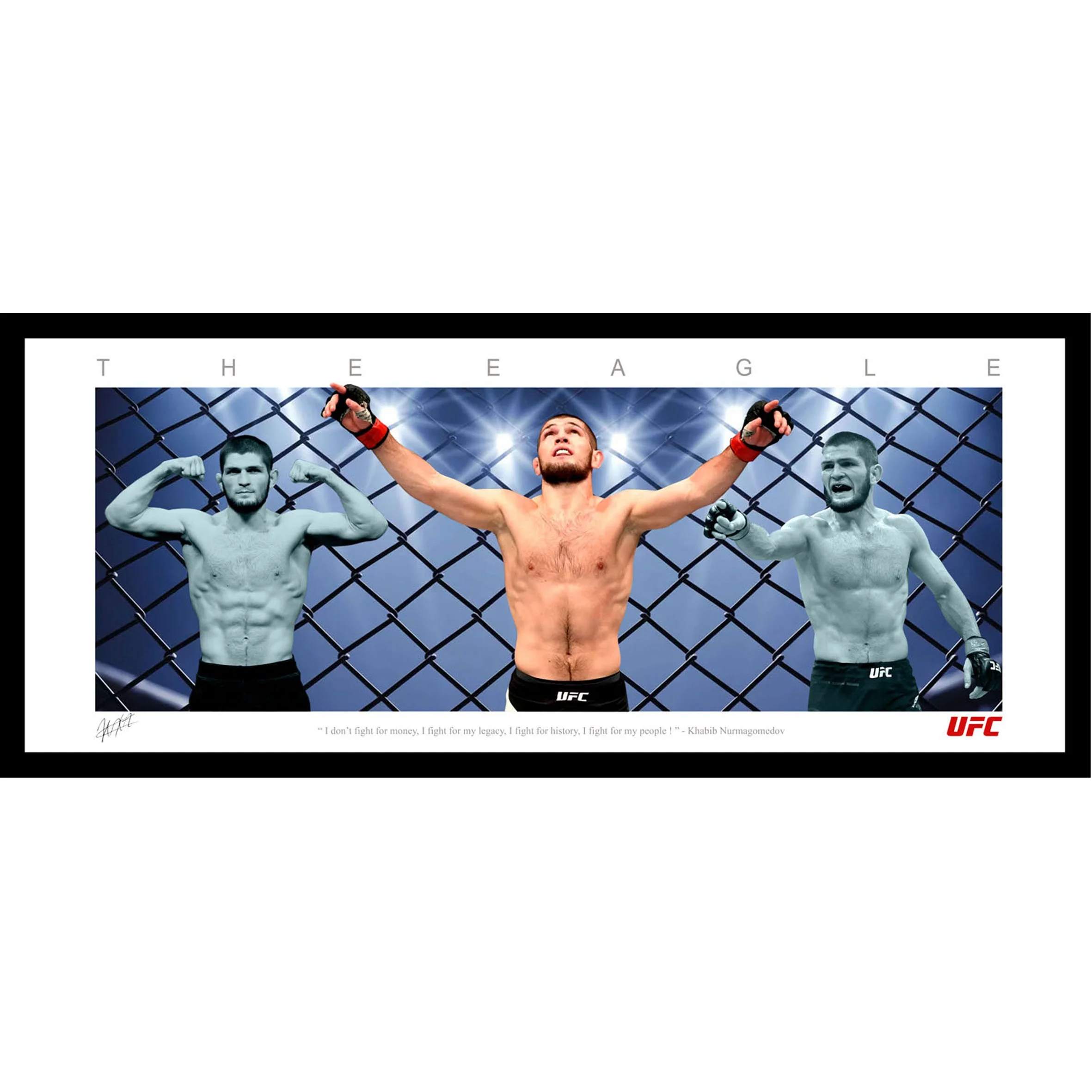 Khabib 'The Eagle' Nurmagomedov Framed Wings Memorabilia