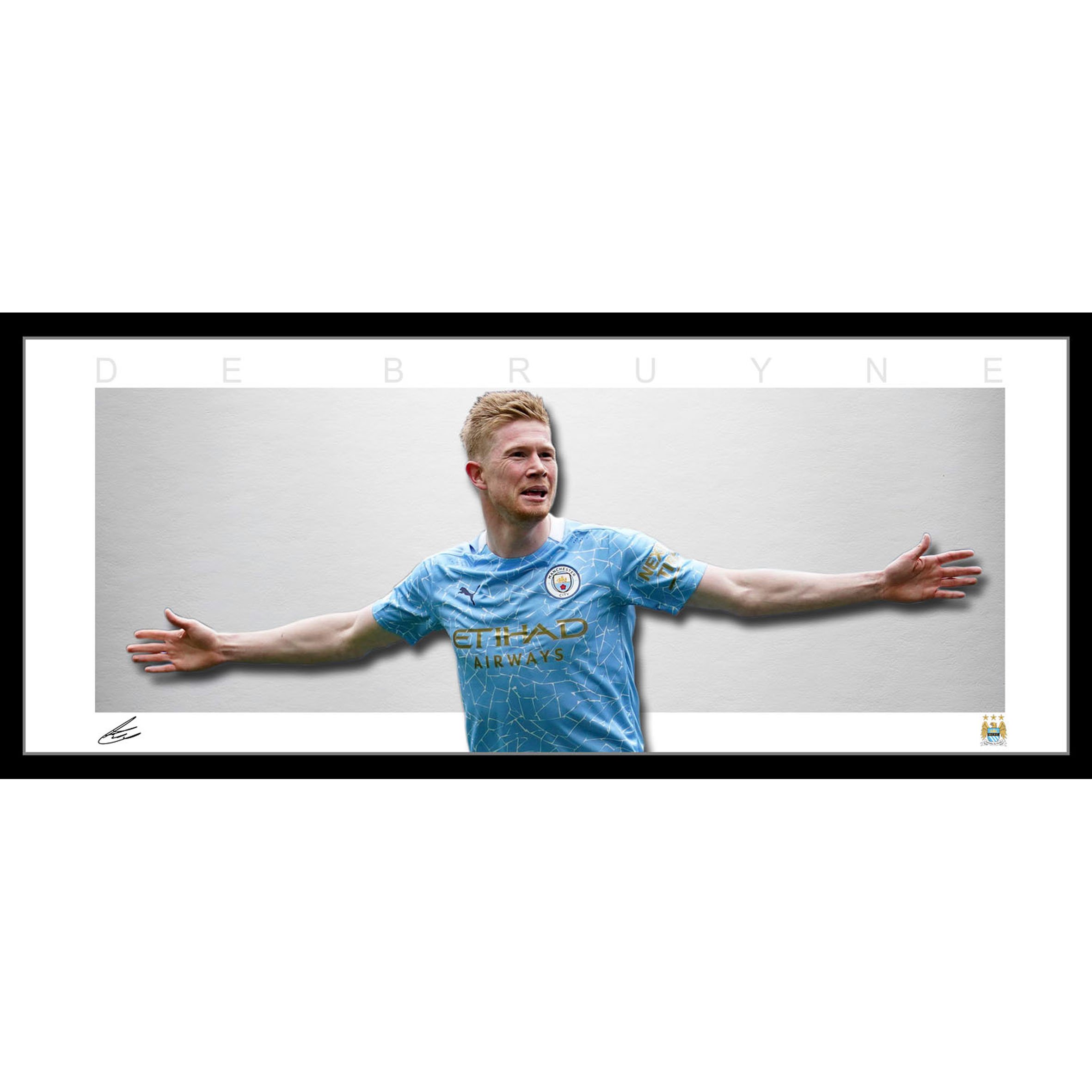 DeBruyne Wings Framed Squarespace.jpg