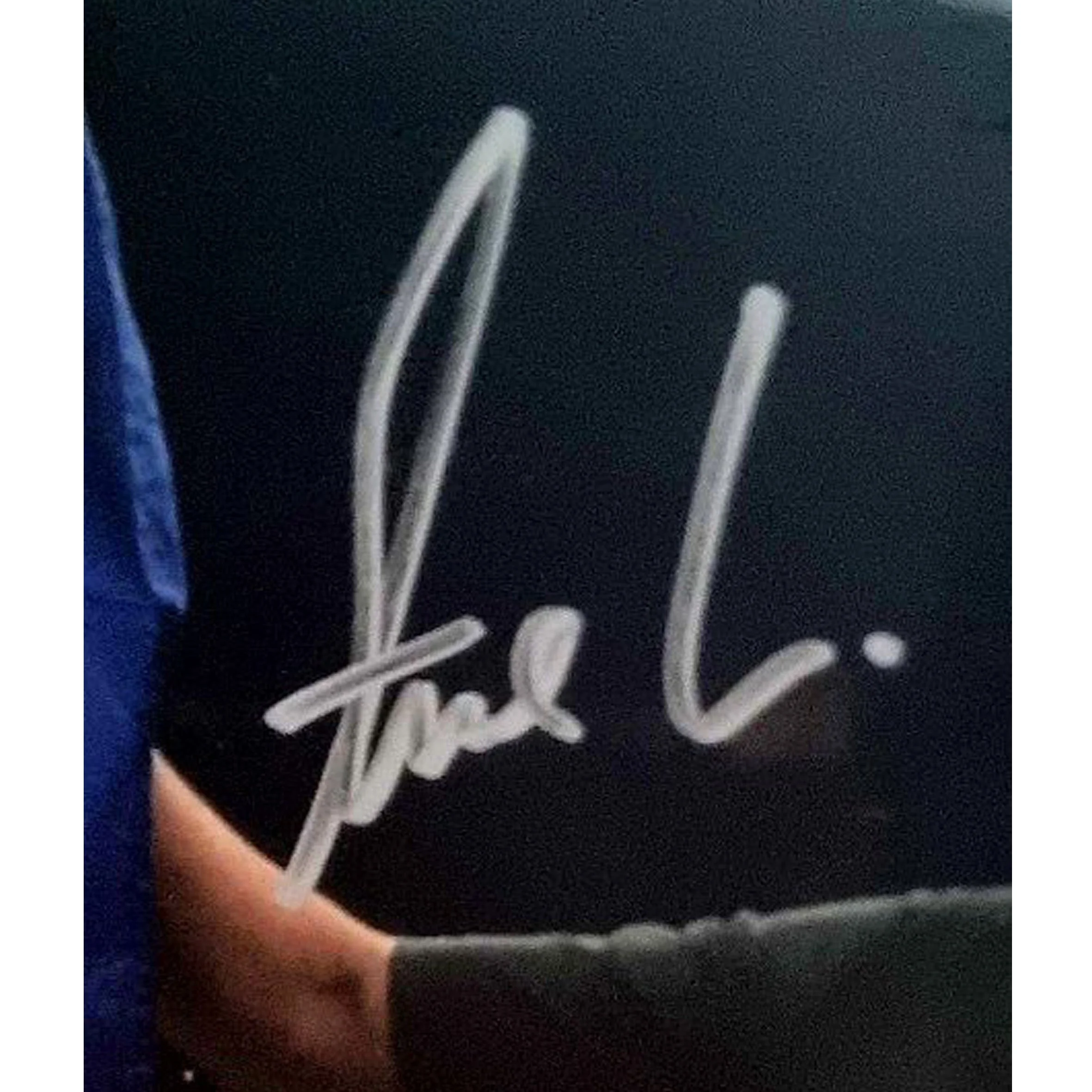 Volkanovski Photocase B Framed UFC Squarespace D.jpg