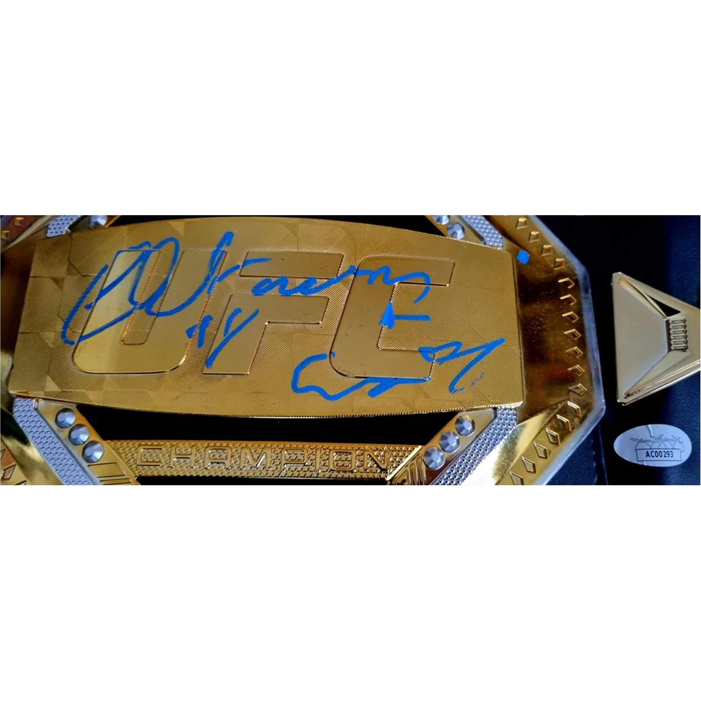 Liddell Belt Framed UFC Squarespace C.jpg