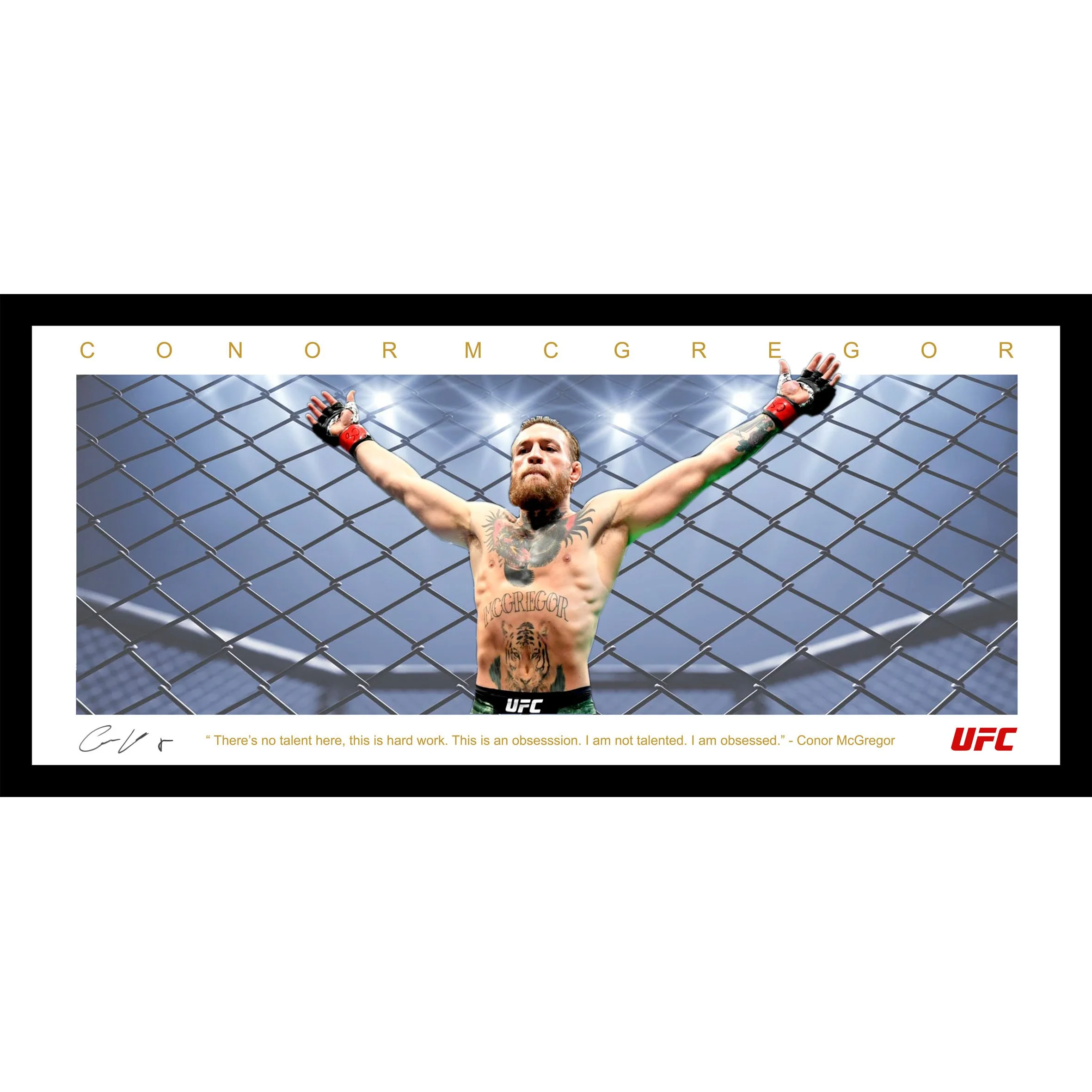 McGregor Wings Framed UFC Squarespace.jpg