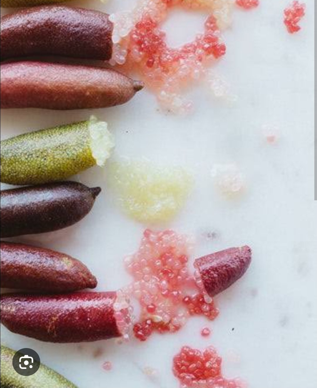 Finger Lime Fizz – Sugar-Free Cordial