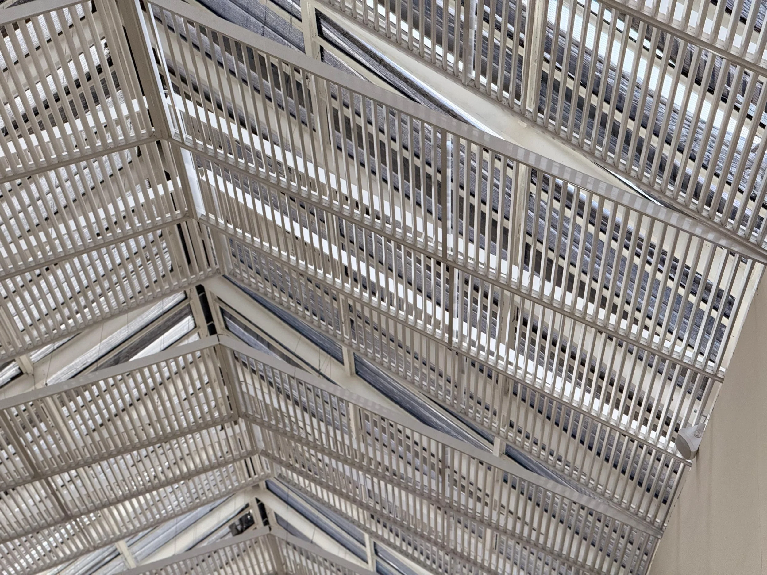 WhatsApp Image 2025-07-12 at 8.58.53 PM.jpeg