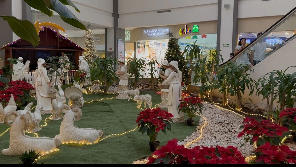 WhatsApp Image 2025-12-02 at 7.19.55 PM.jpeg