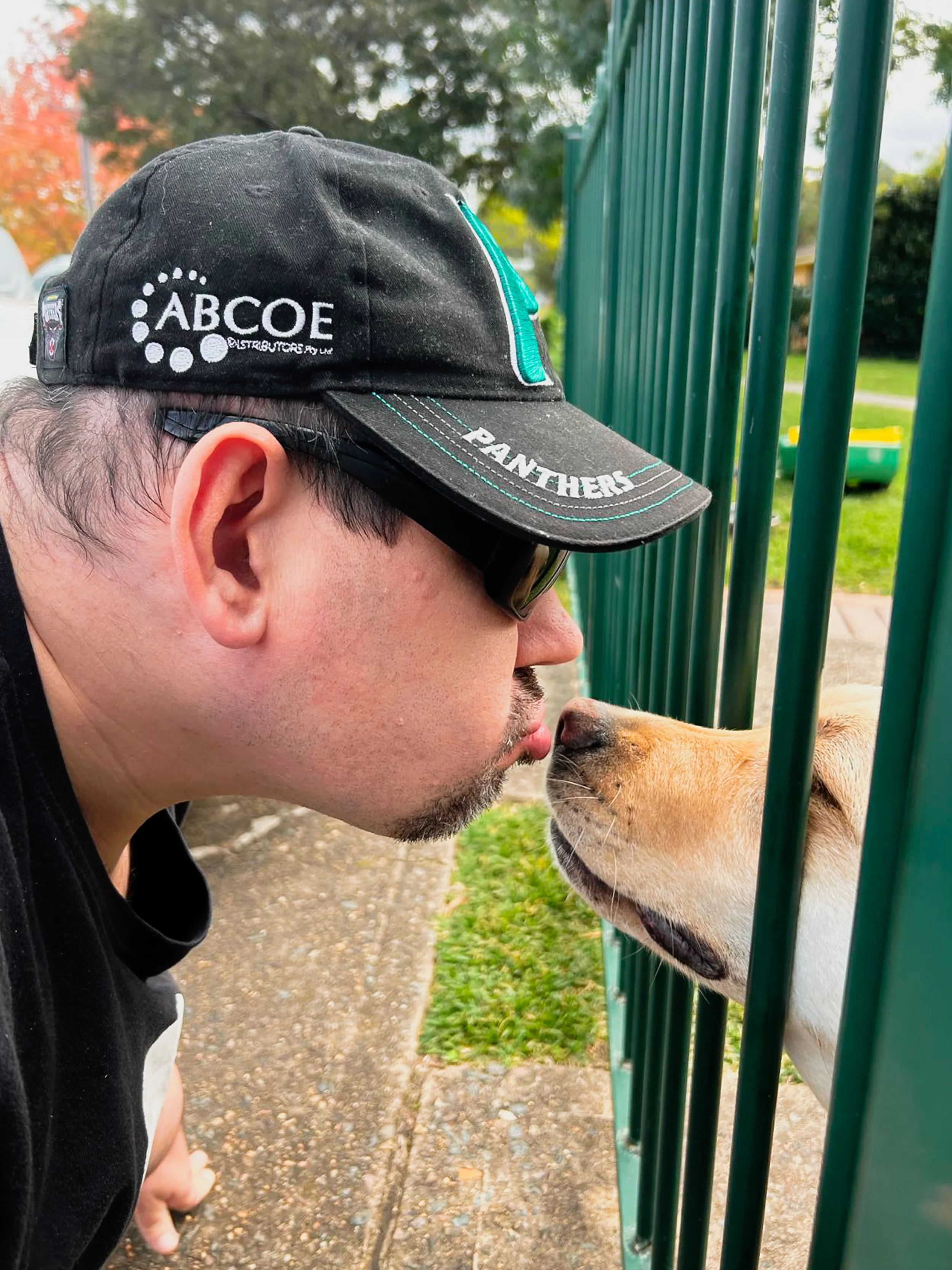 A man wearing a black baseball cap with white lettering and a black shirt, leaning close to an animal through a green metal fence. The animal has a yellow coat and is touching noses with the man. Trees and a patch of grass are visible in the backgrou