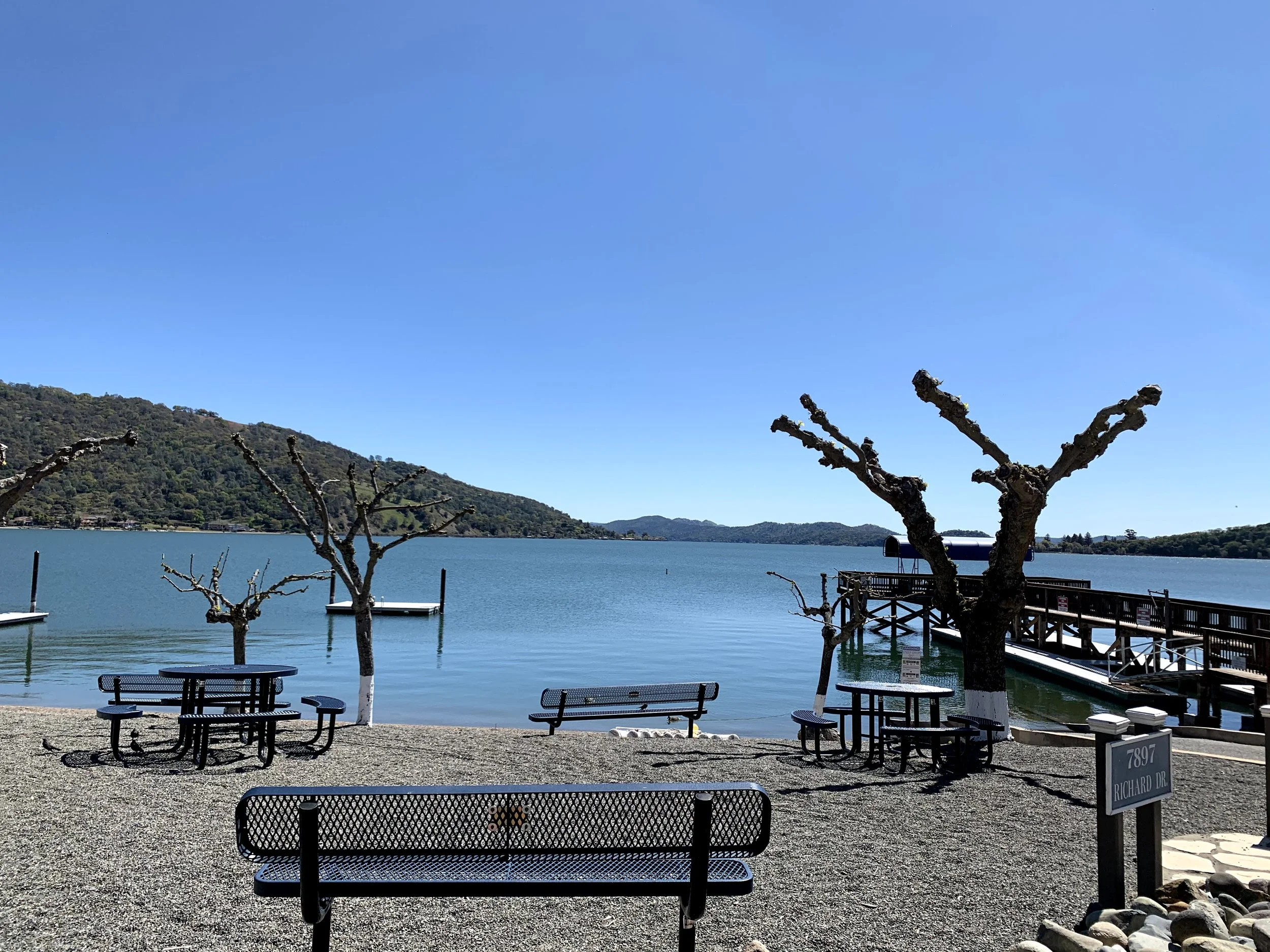 Wellness Walk - February 28, 2026