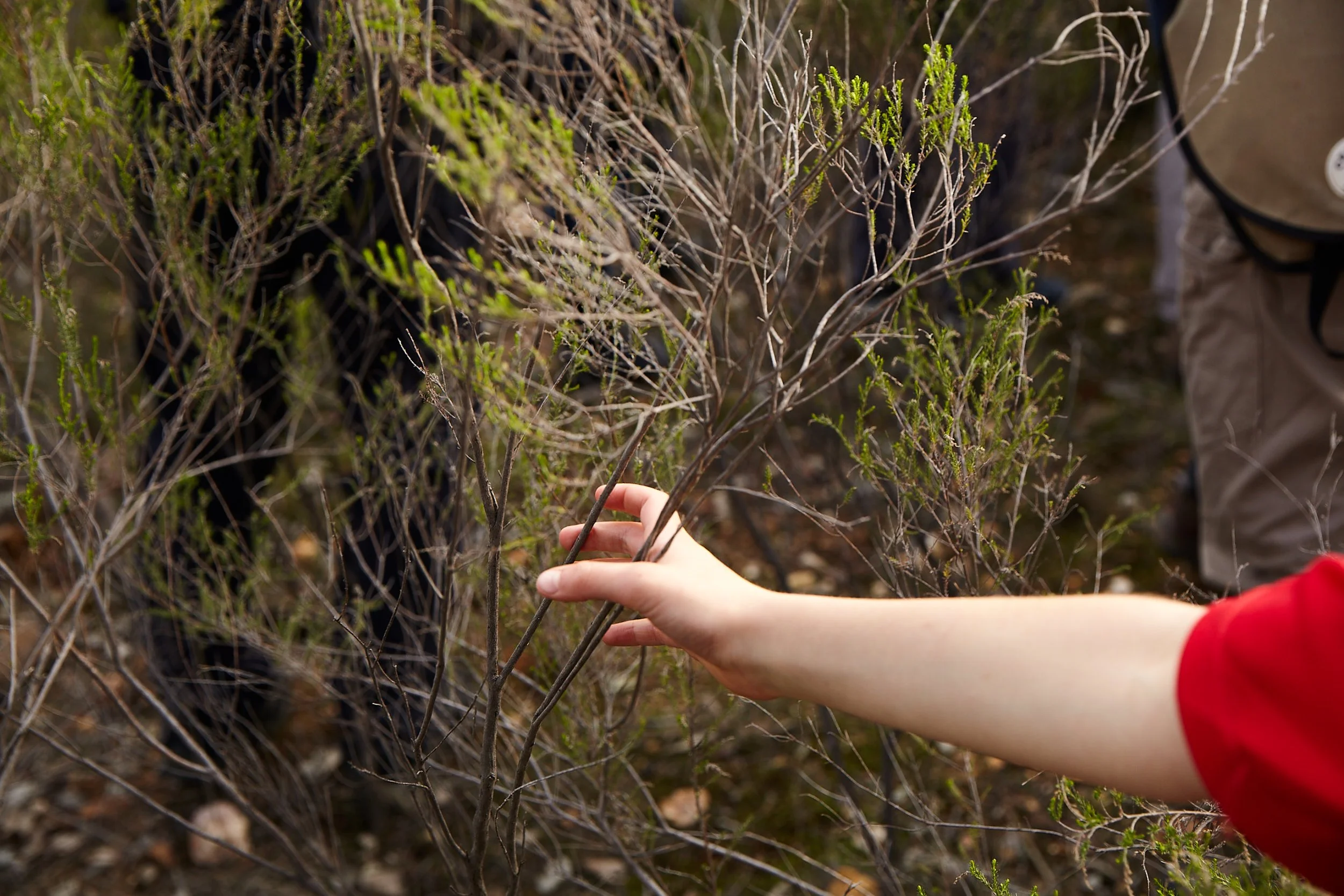 GK_Photography_Landcare_01..jpg