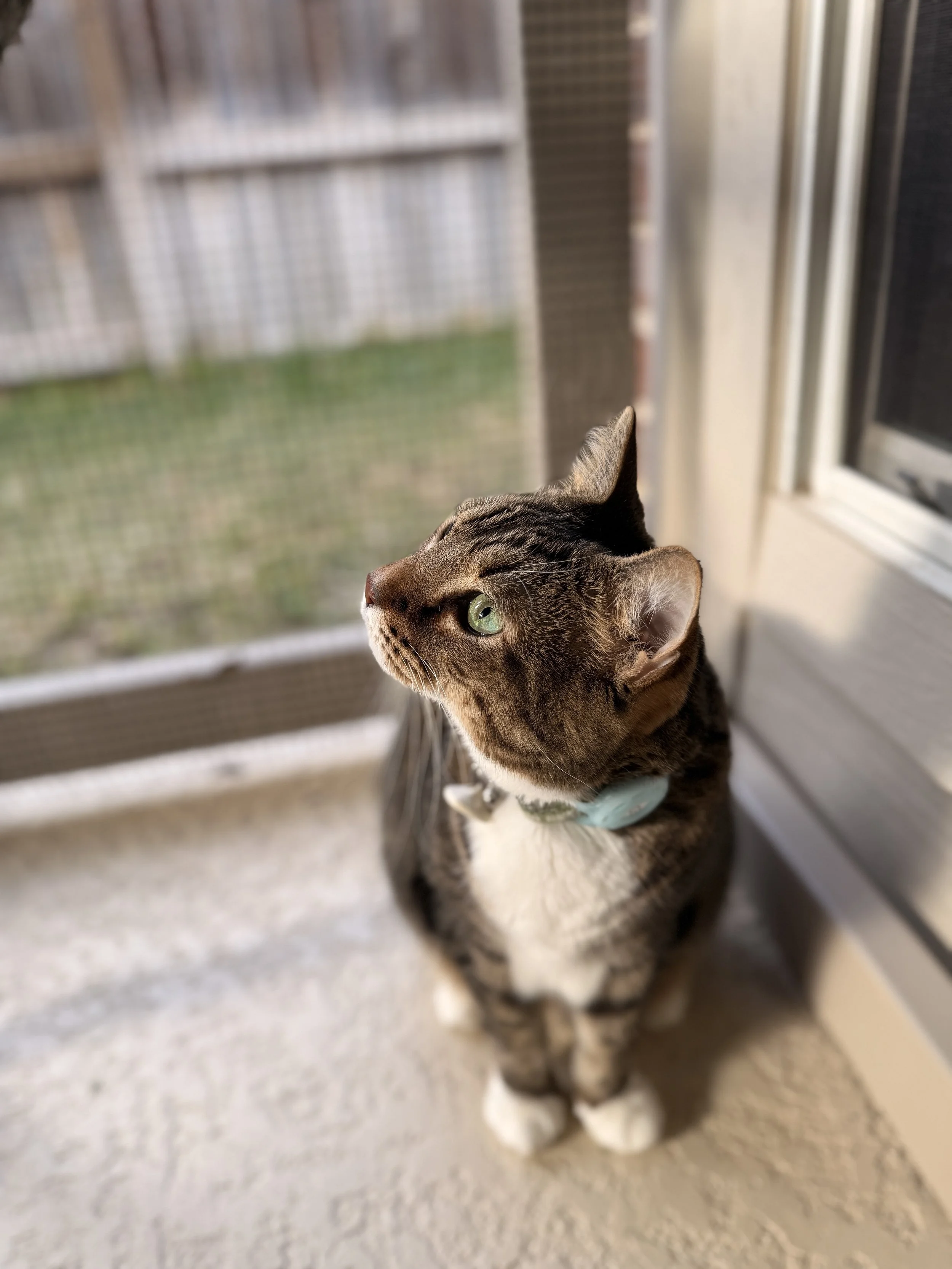 26-01-13 16-24-06 1930.jpg