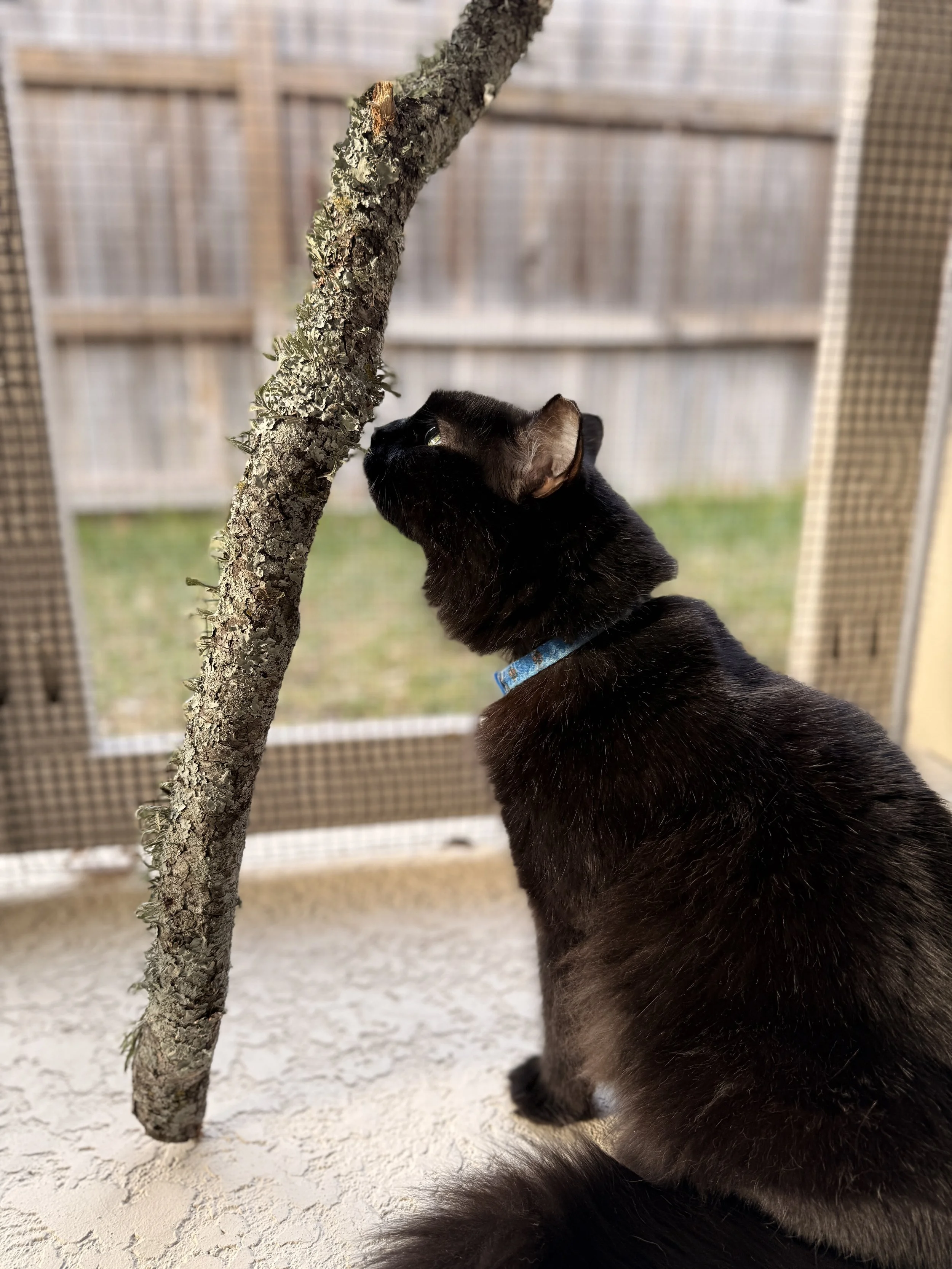 26-01-13 16-23-24 1929.jpg