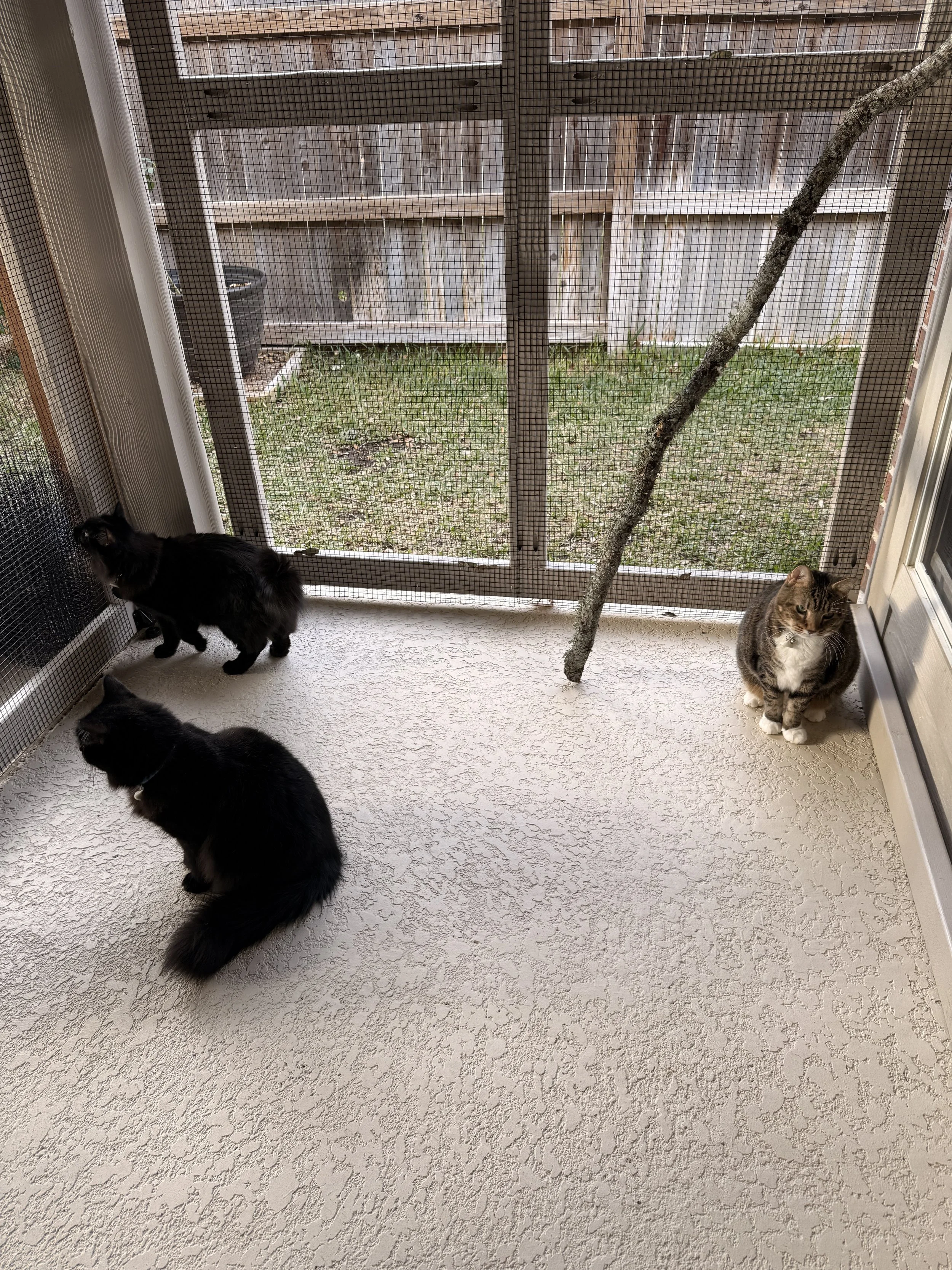 26-01-13 16-24-38 1931.jpg