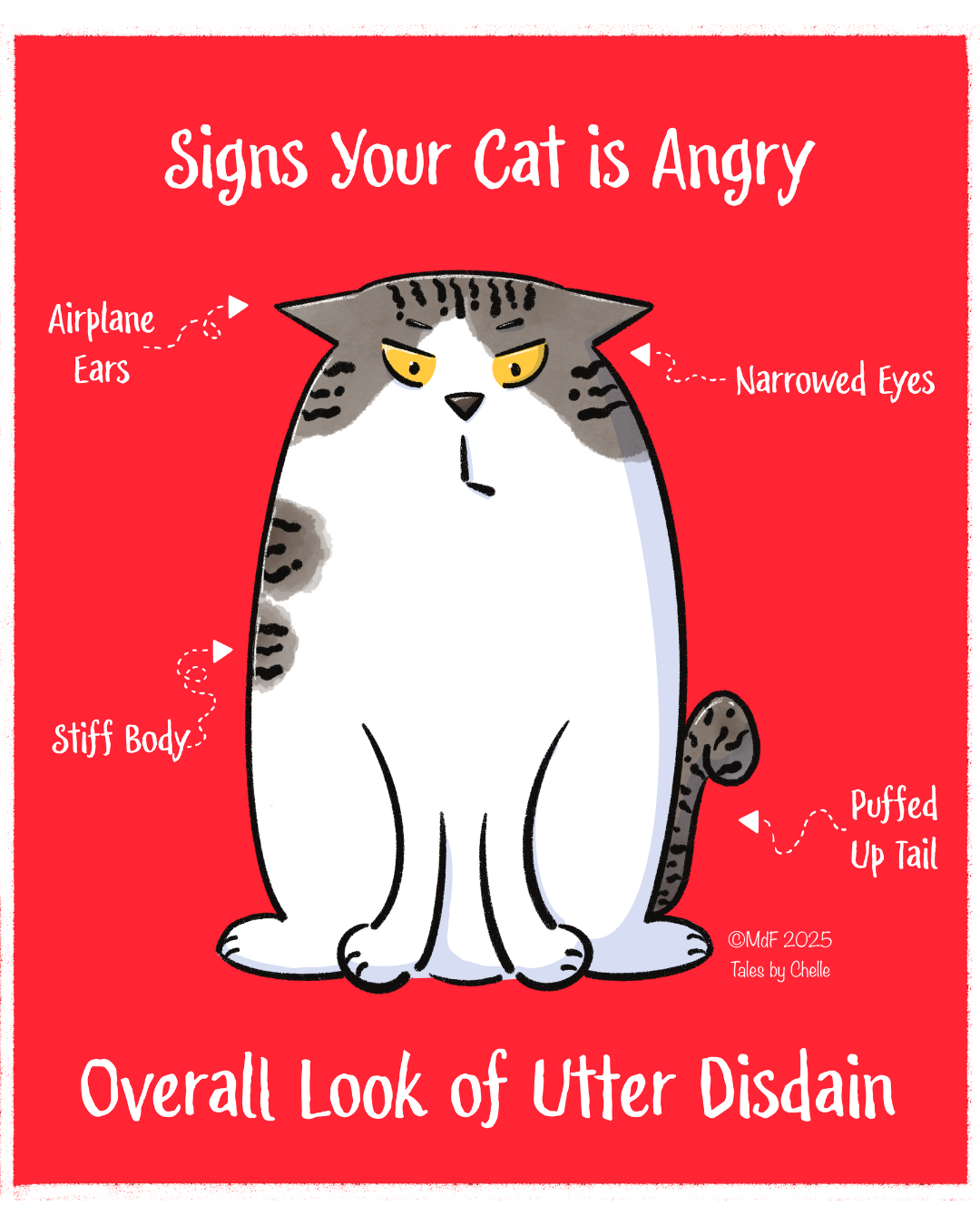 diagram of an angry tabby cat with yellow eyes and a red background