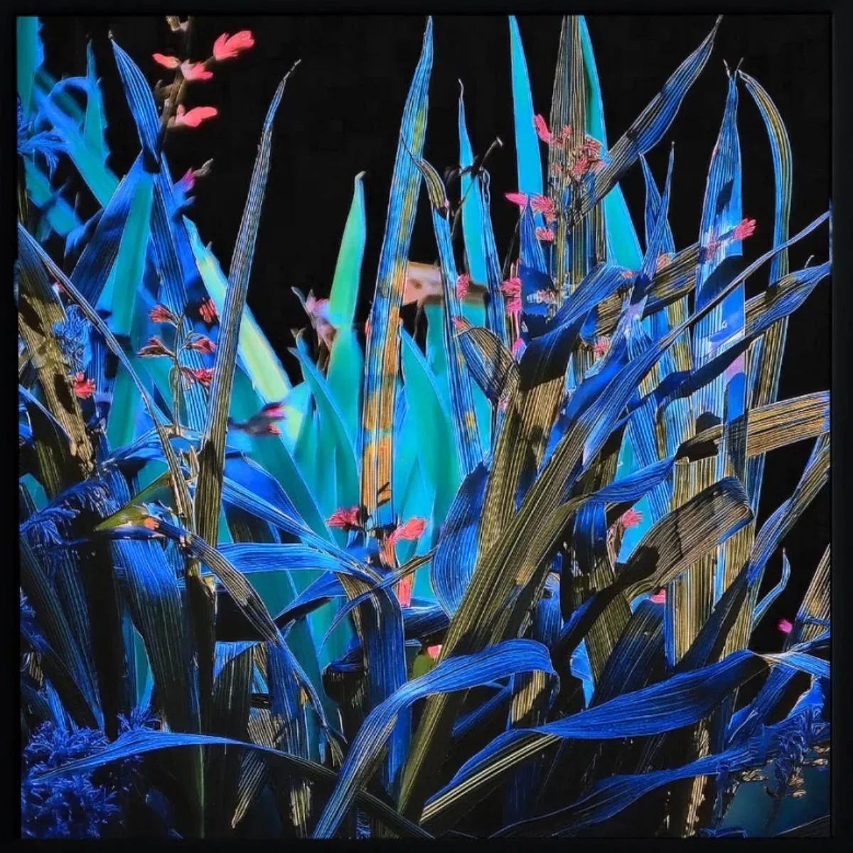 Owen Kydd &amp; Kyle Tata - Surface/Signal - Opening Reception @ Casemore Gallery
