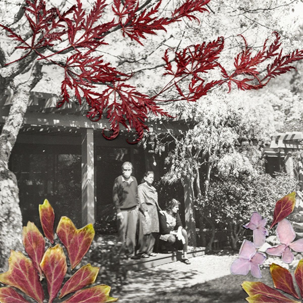 Ashima Yadava - Front Yard @ Chung 24 Gallery