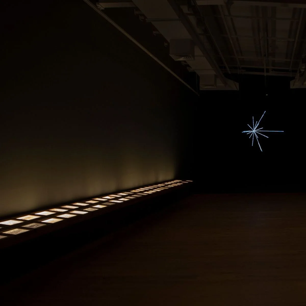 Jitish Kallat - Covering Letter (Terranum Nuncius) @ Asian Art Museum 